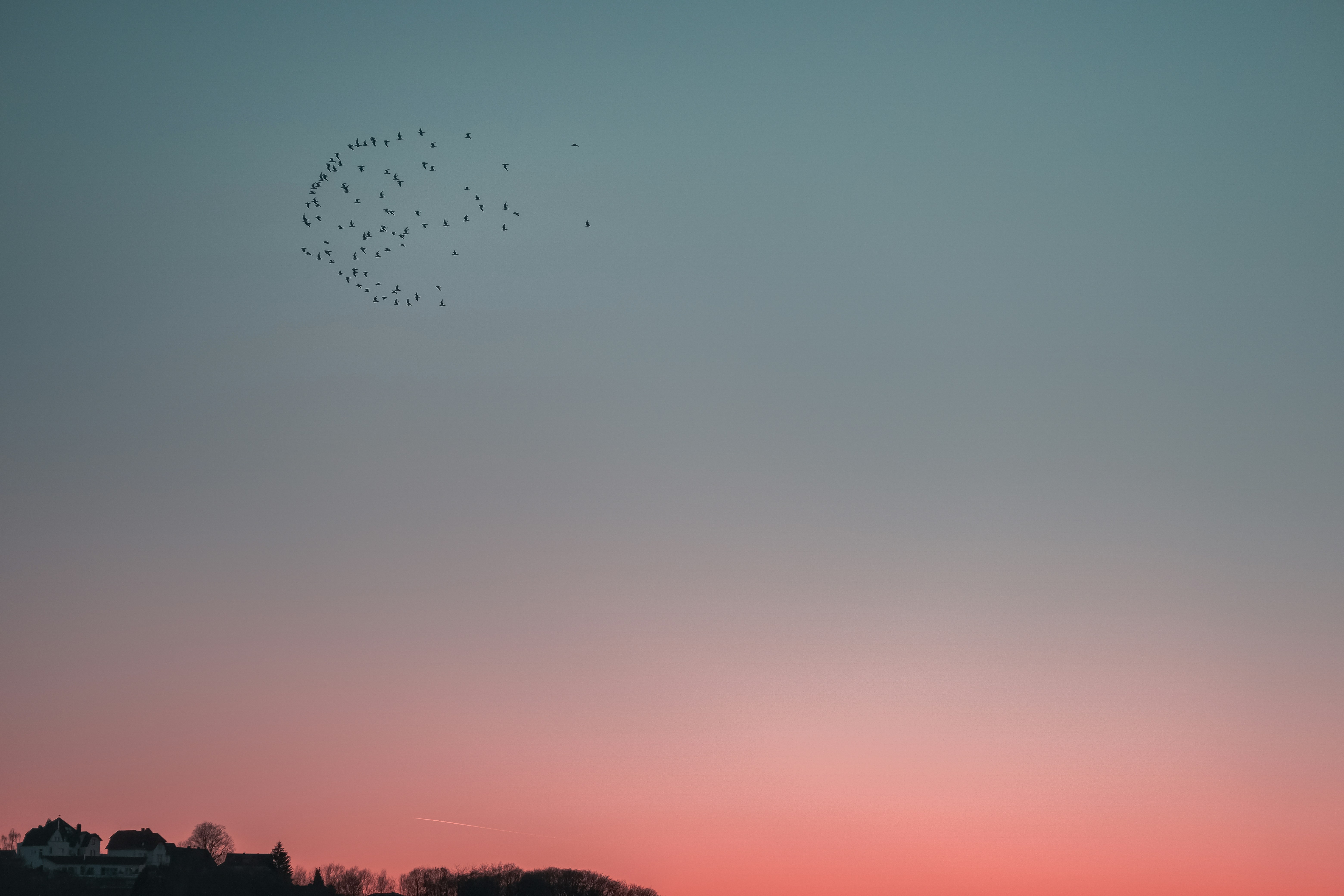 Flock of Birds Over Sunset Sky