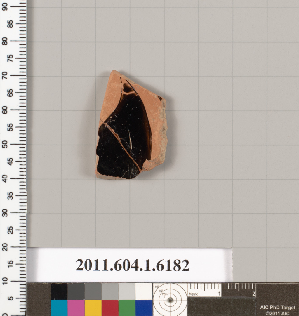 Ancient Pottery Shard Specimen