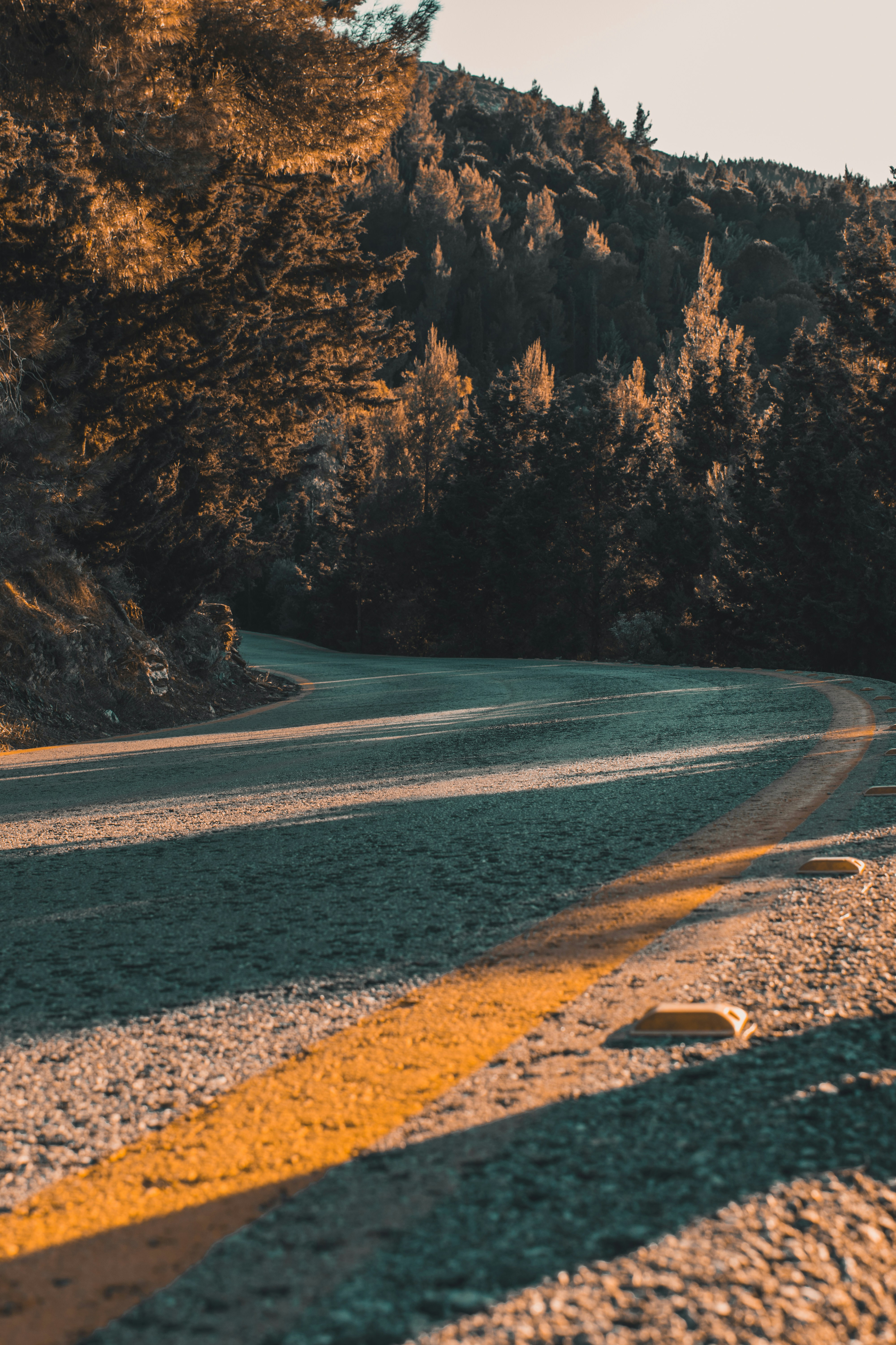 Winding Mountain Road Through Forest