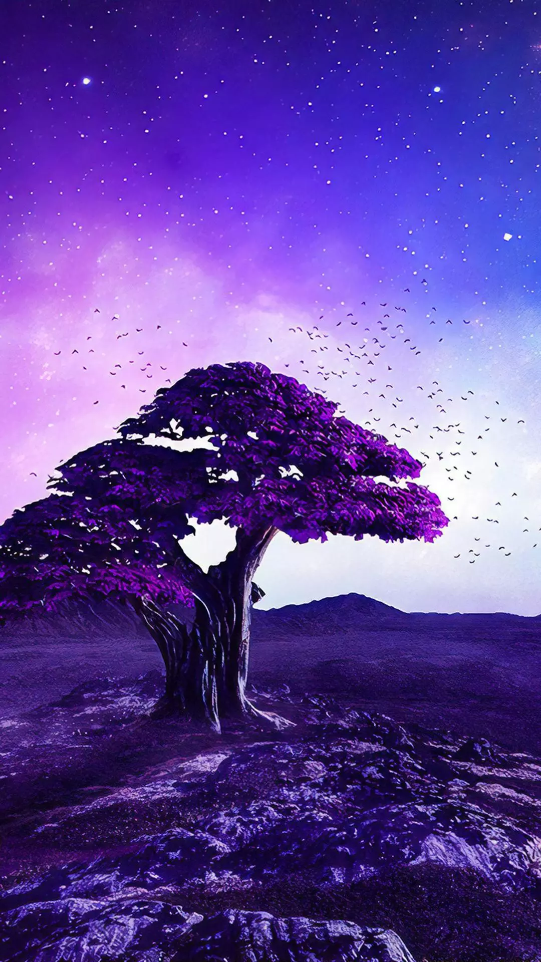 Wallpapers