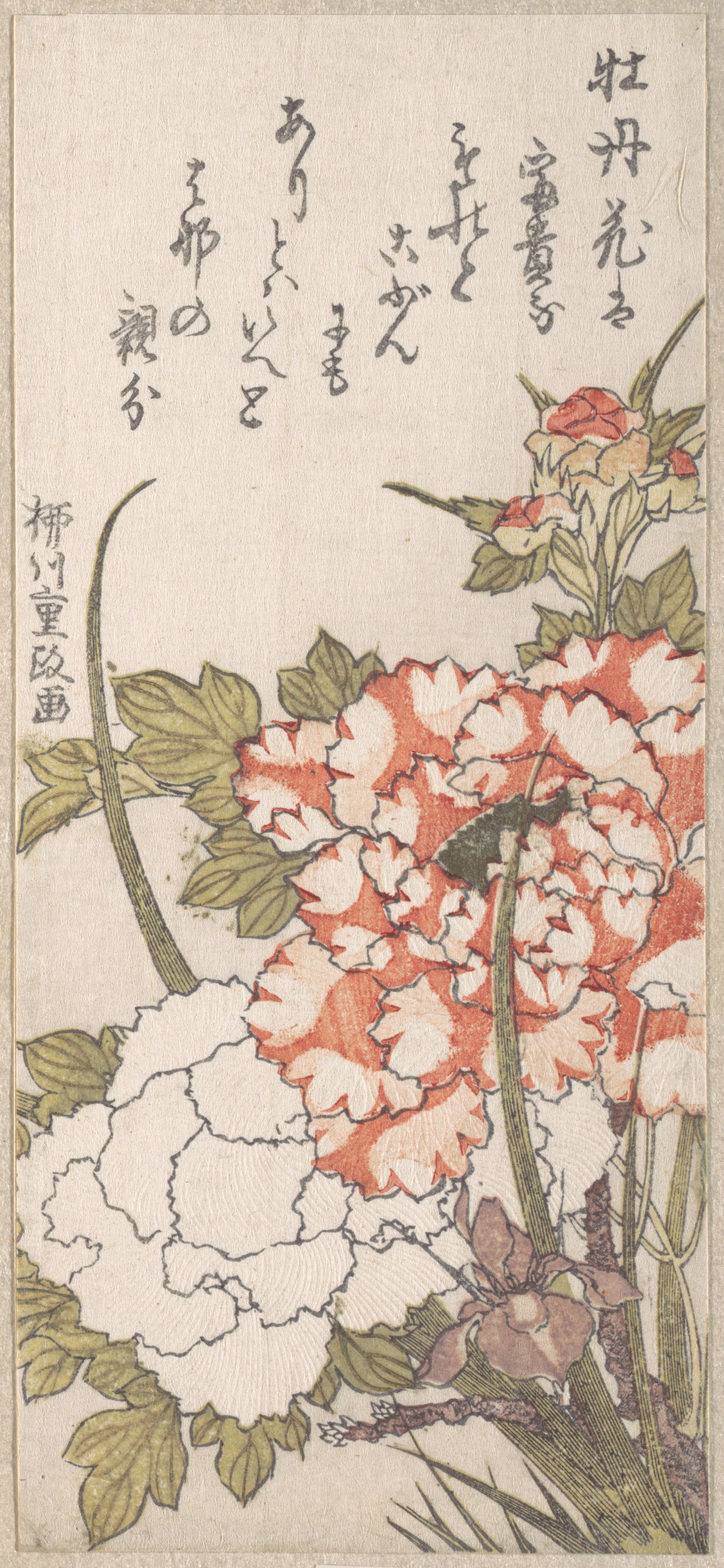 Japanese Ukiyo-e Peony Painting