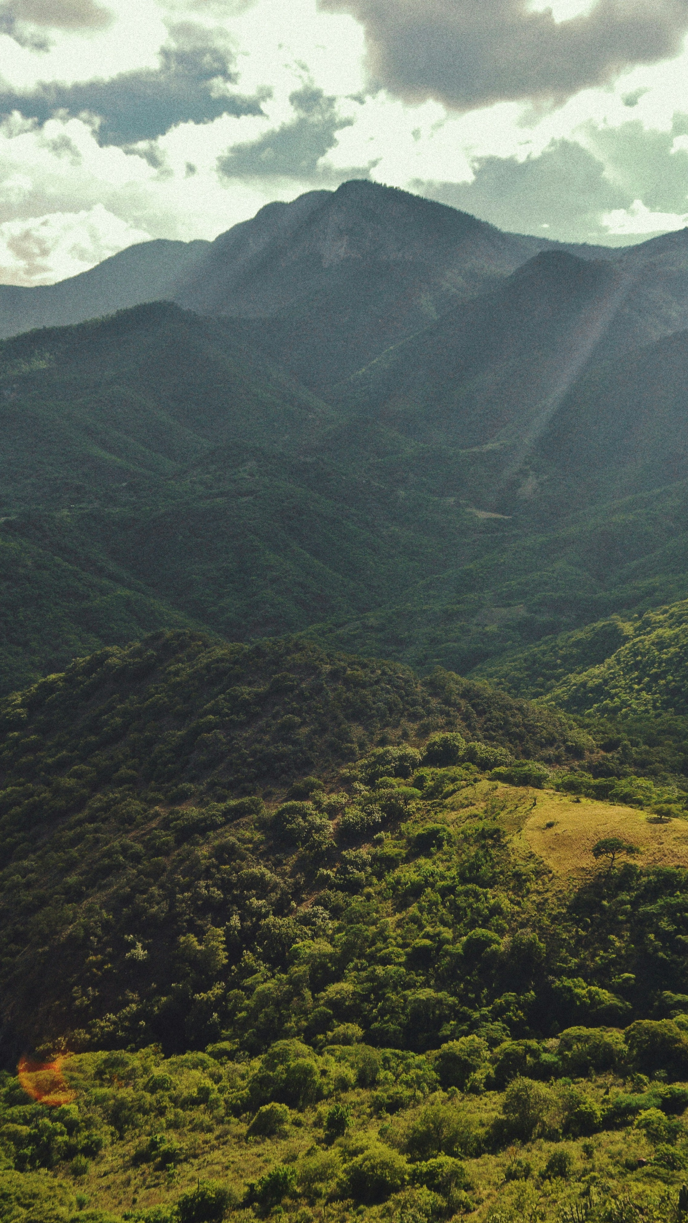 Landscapes