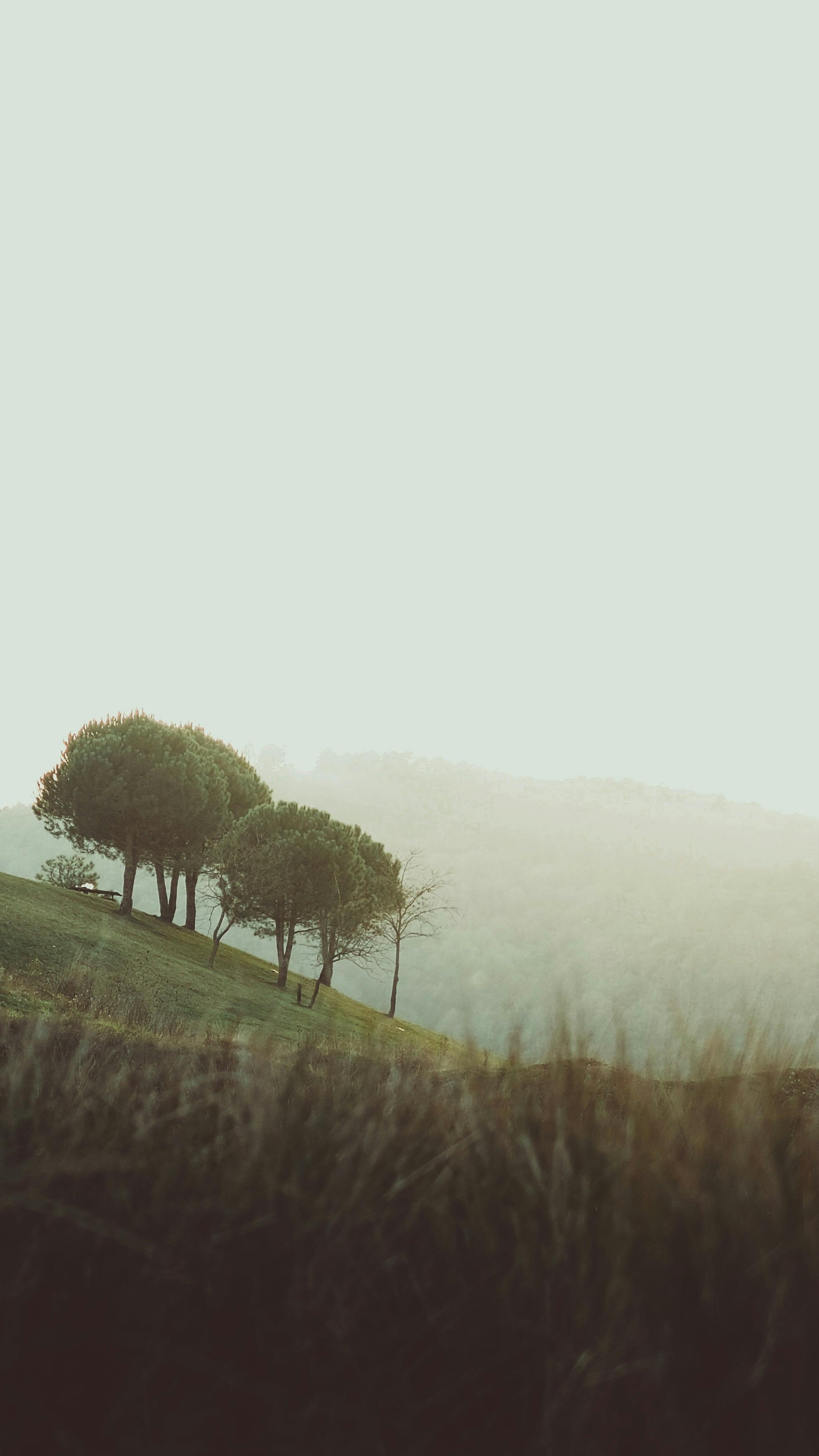 Wallpapers
