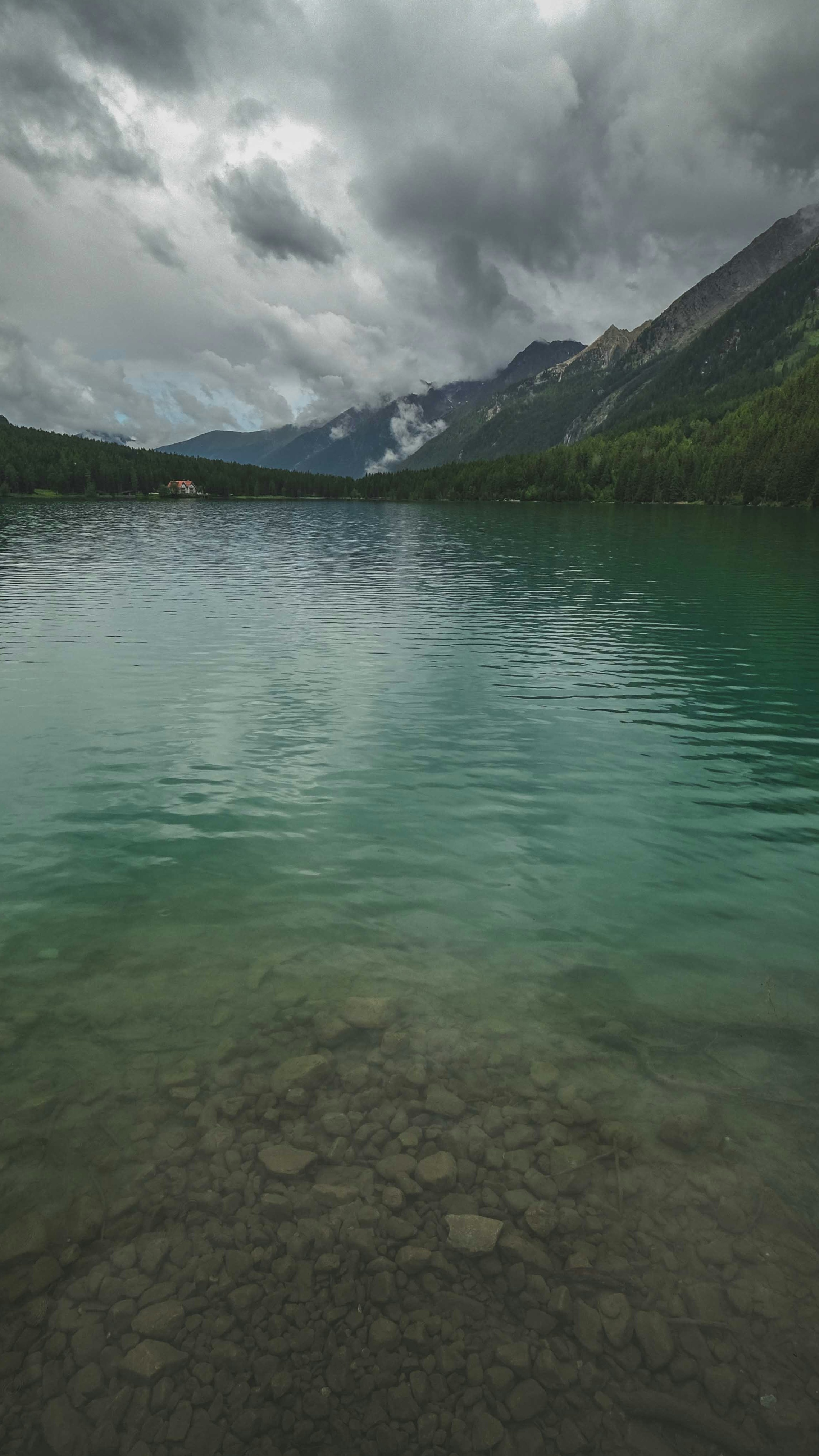Wallpapers