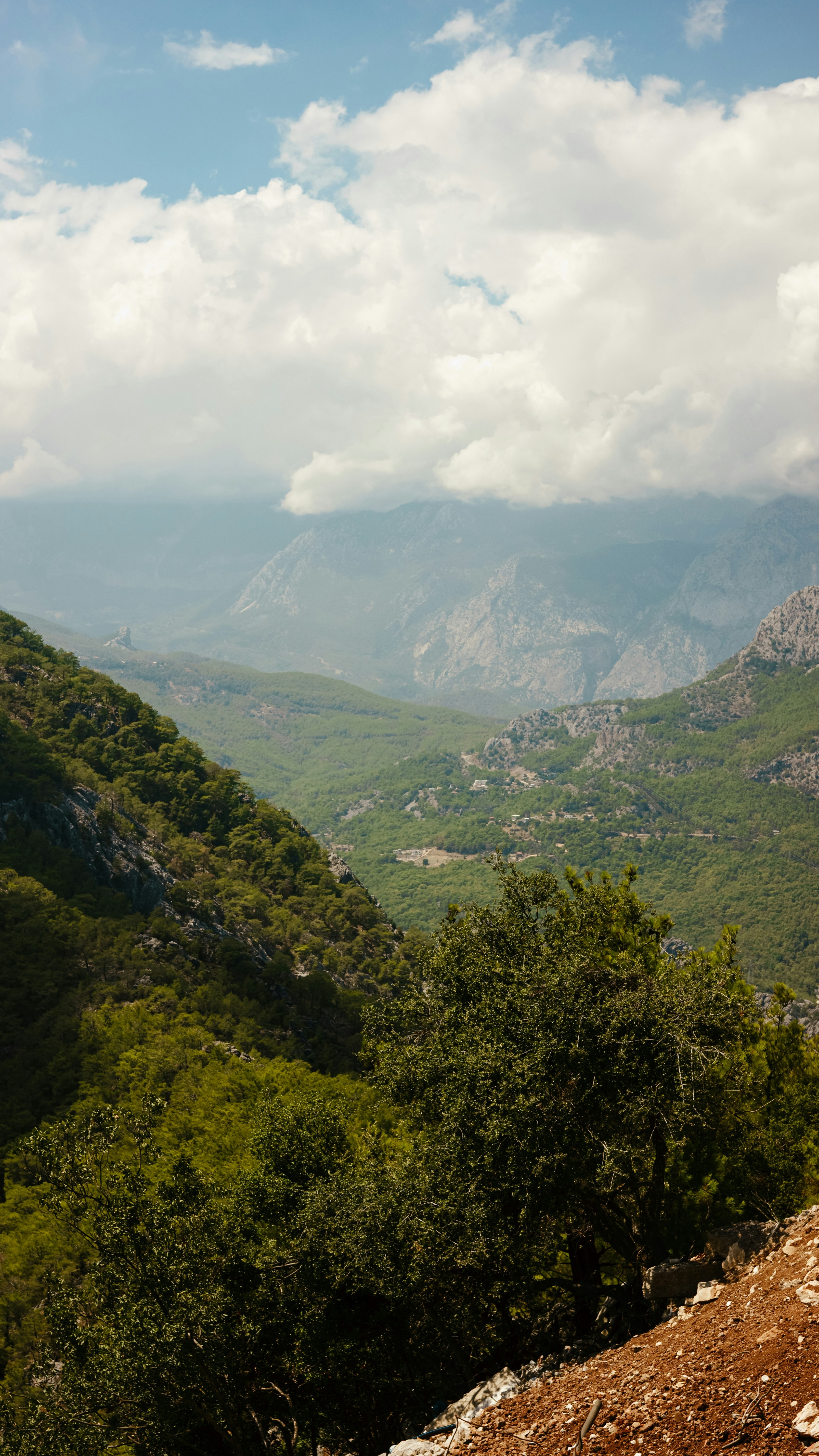 Landscapes