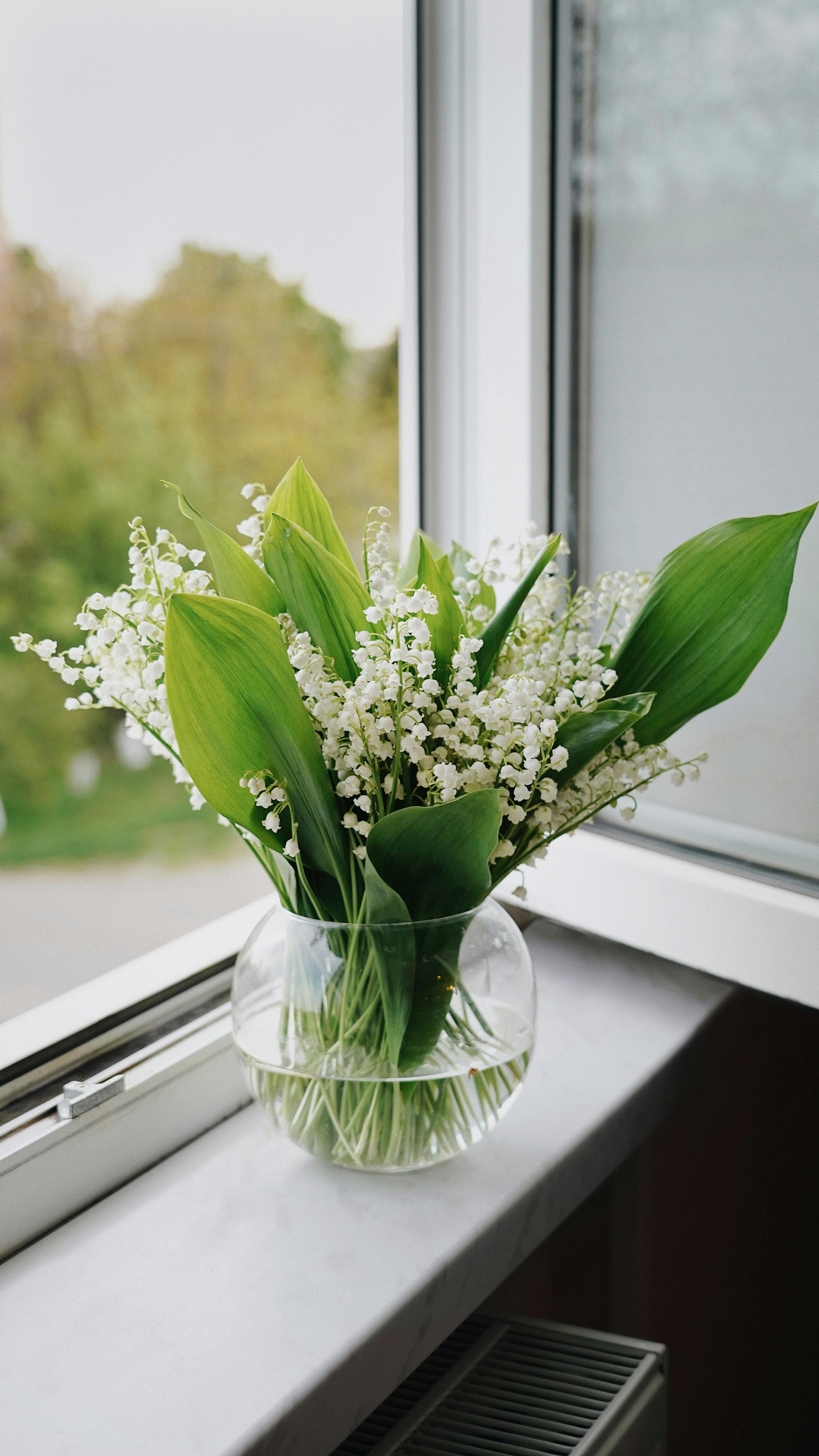 Home Decoration