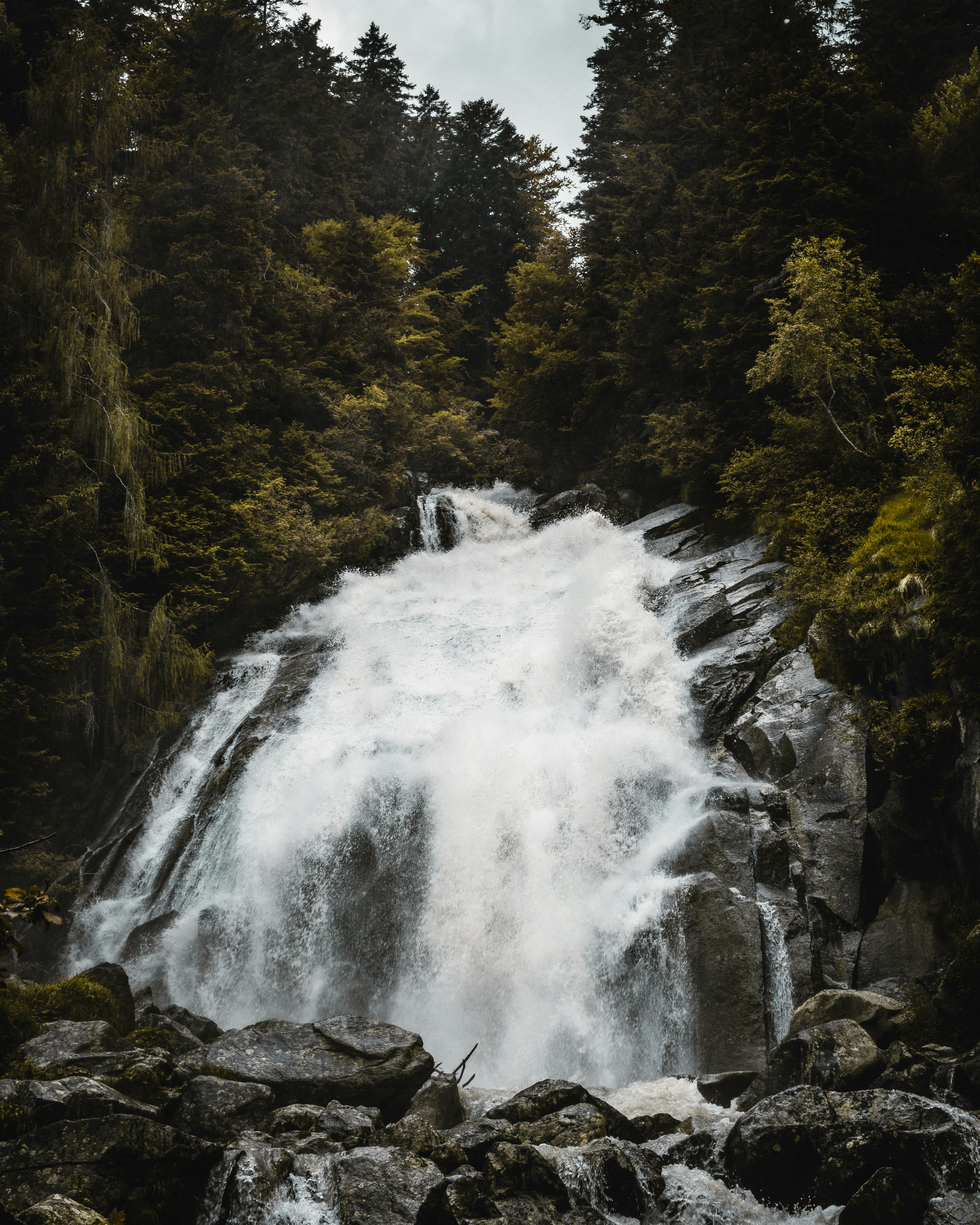 Waterfall in Dense Forest