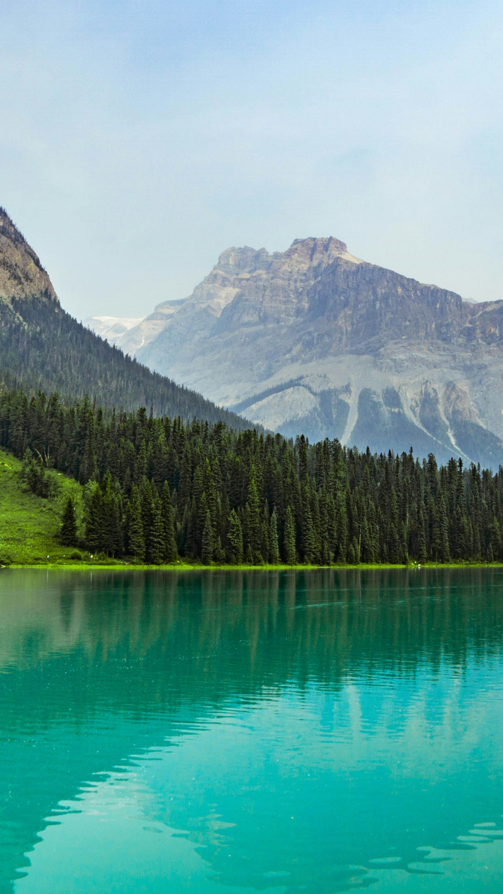 Landscapes