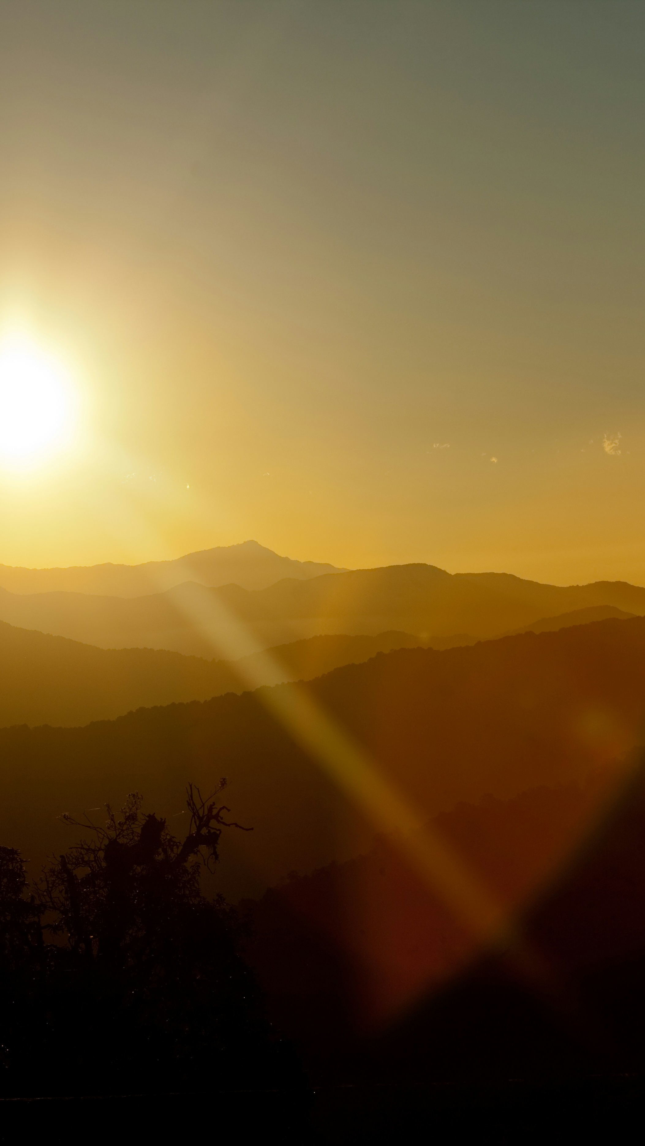 Landscapes