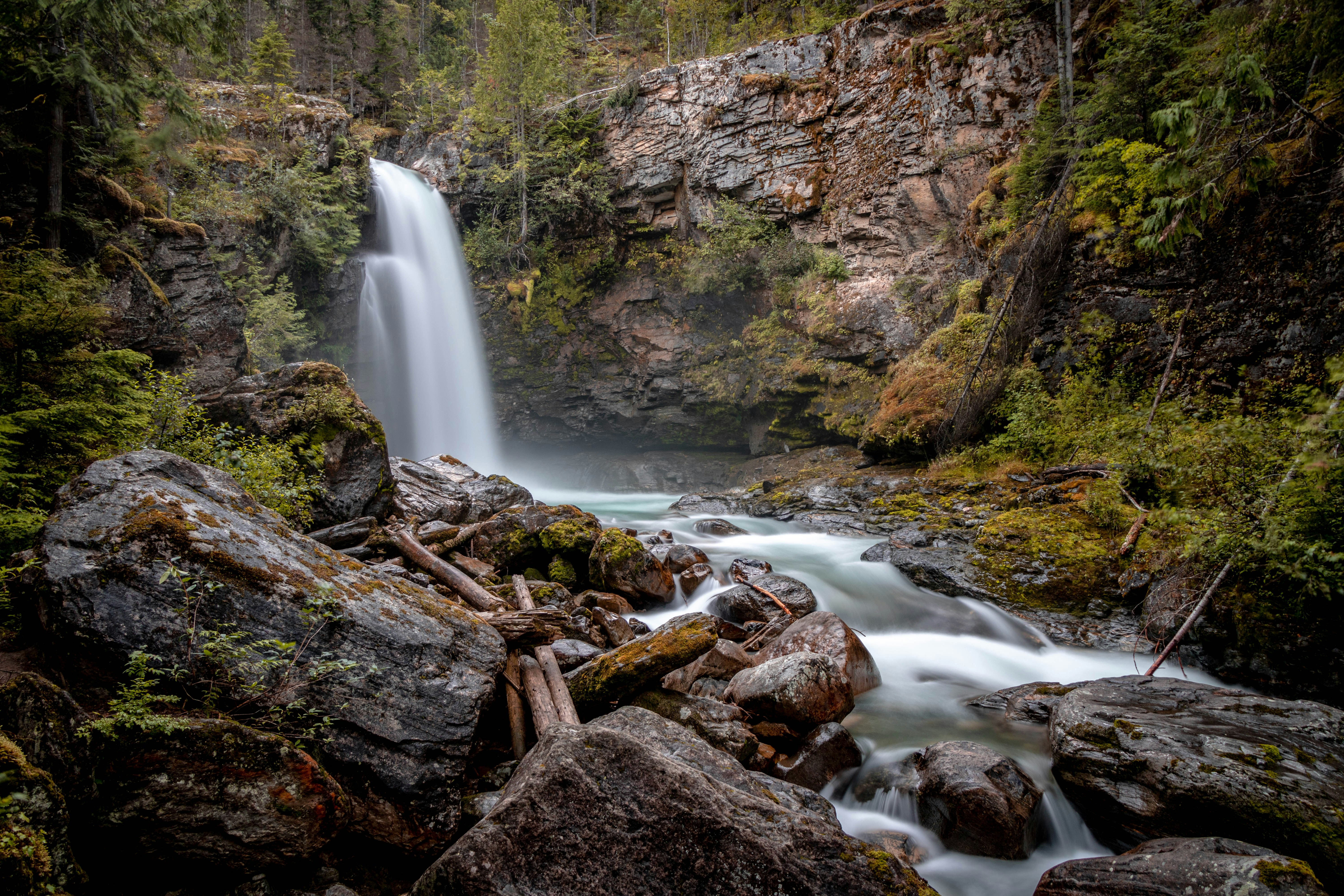 Forest Canyon Waterfall