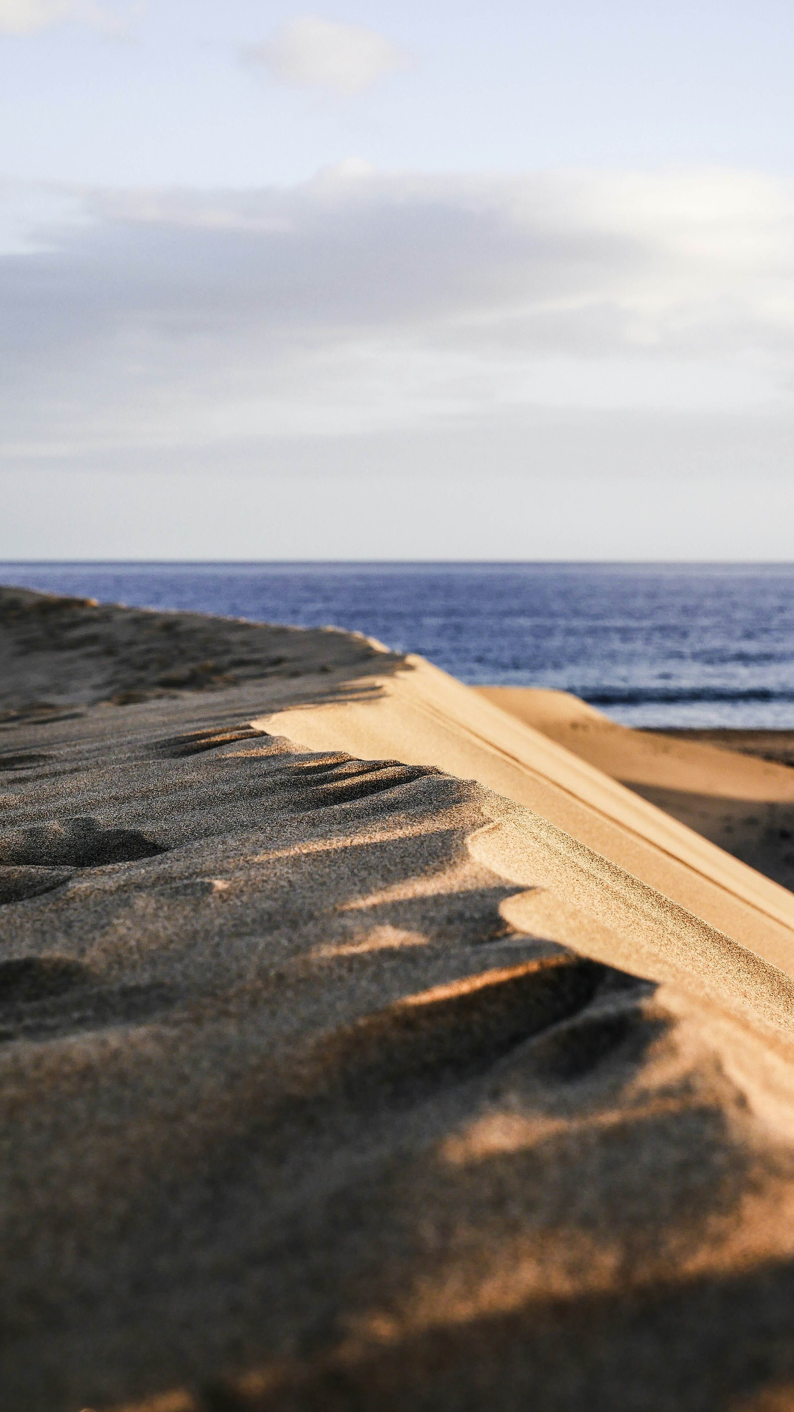 Coastal Sand Dunes by the Sea