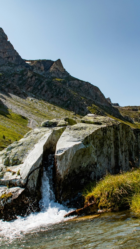 Image 1558873 — Nature