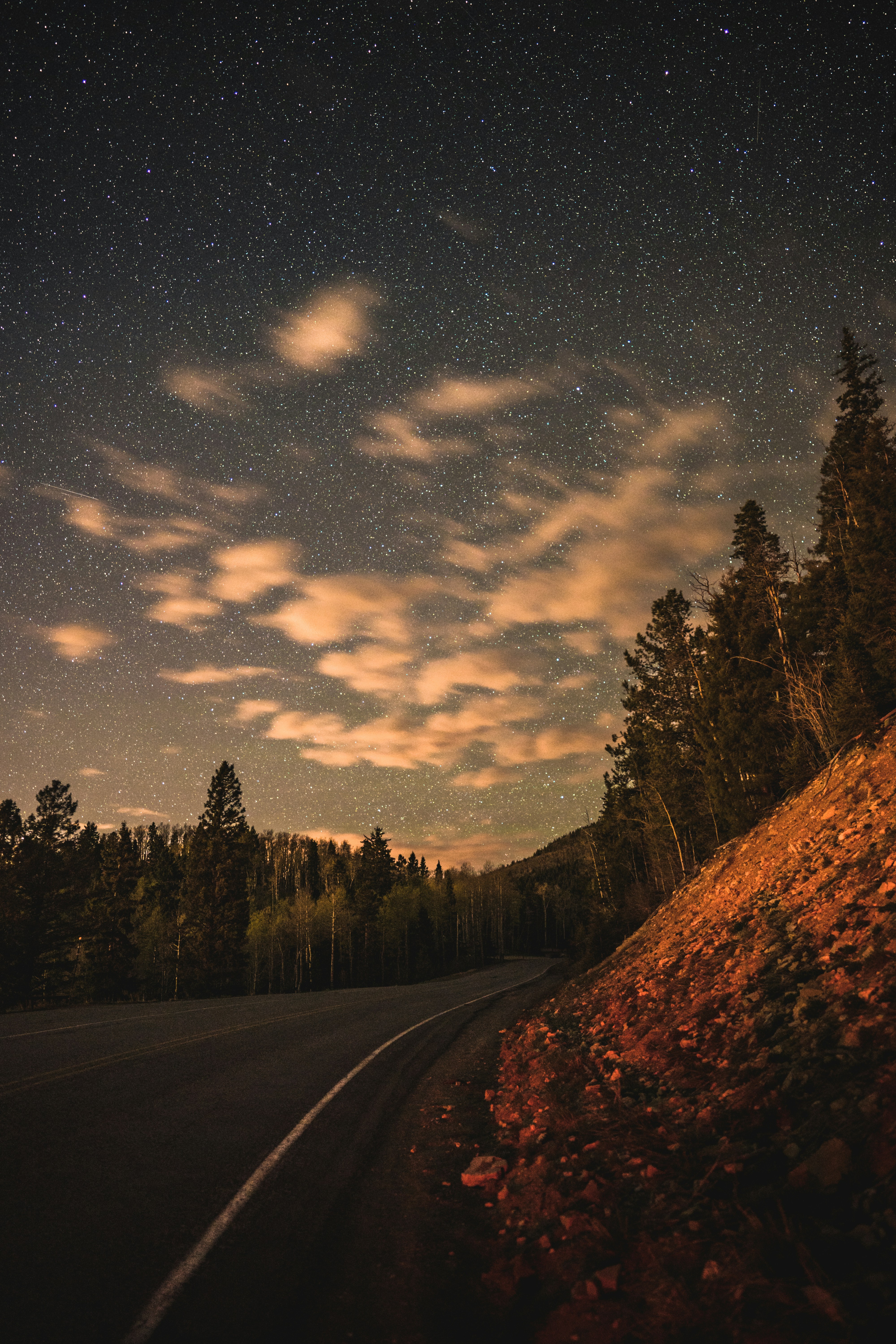 Starry Night Over Mountain Forest Road