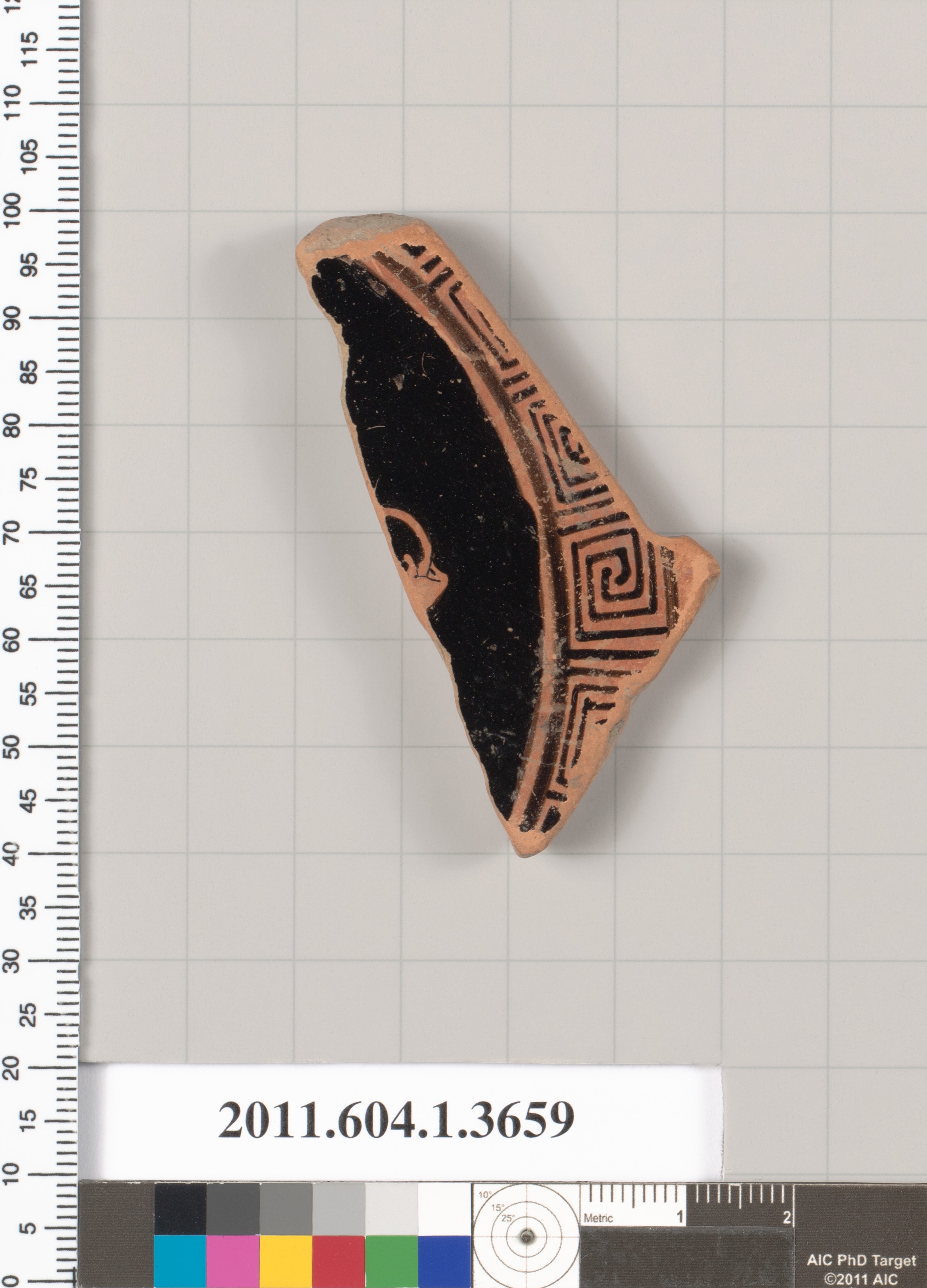 Ancient Black Figure Pottery Fragment