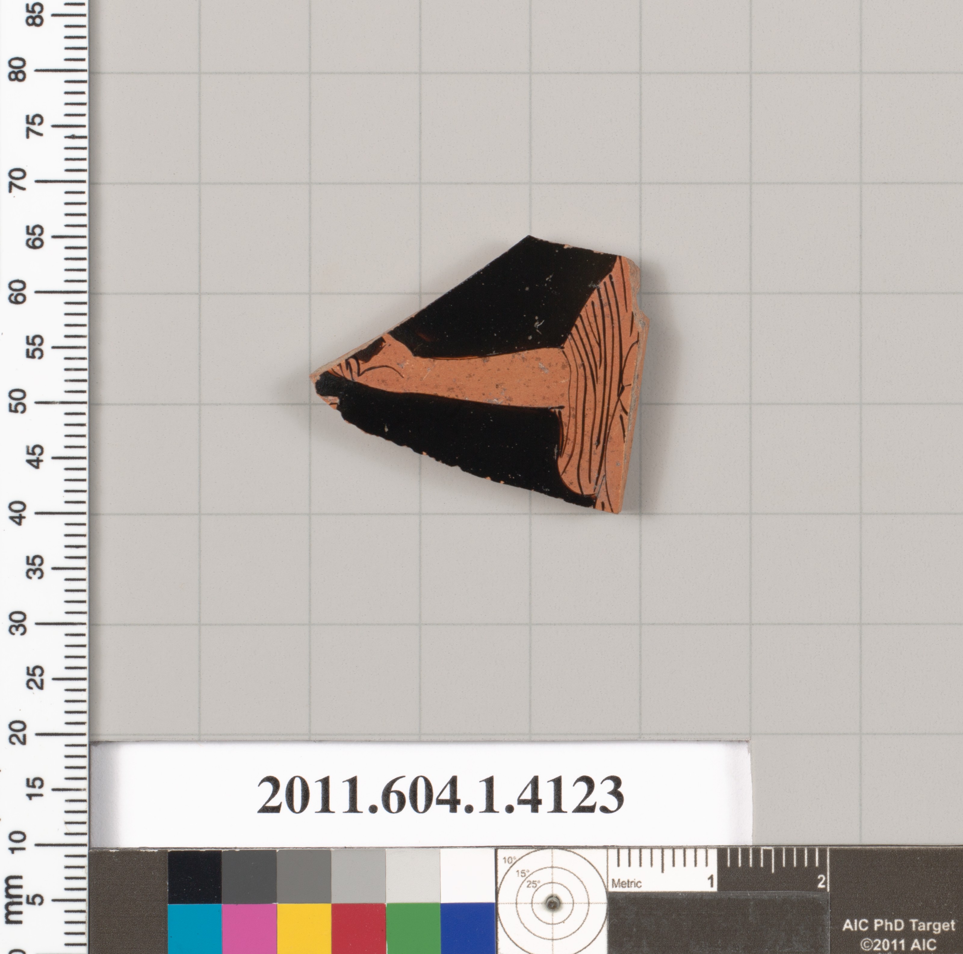 Ancient Pottery Fragment Artifact