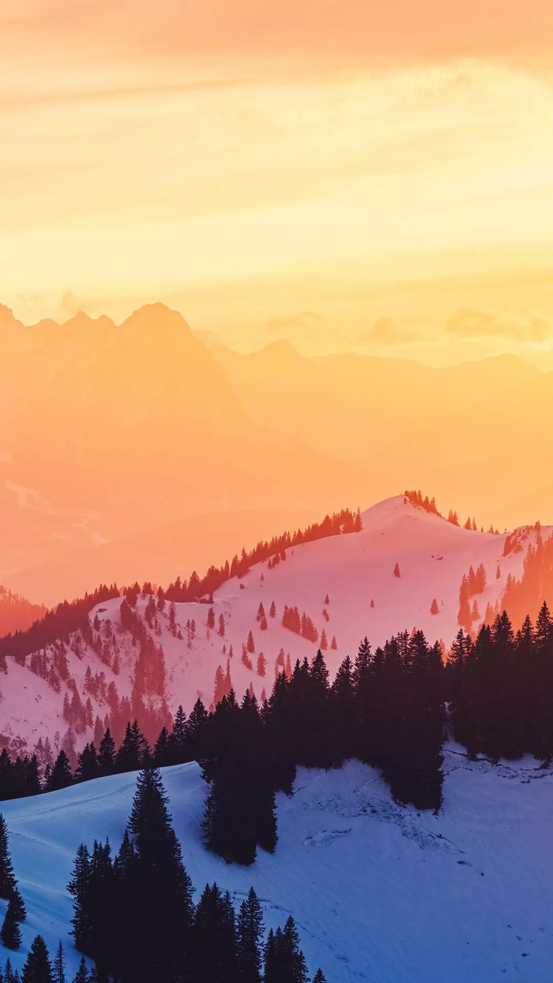 Landscapes