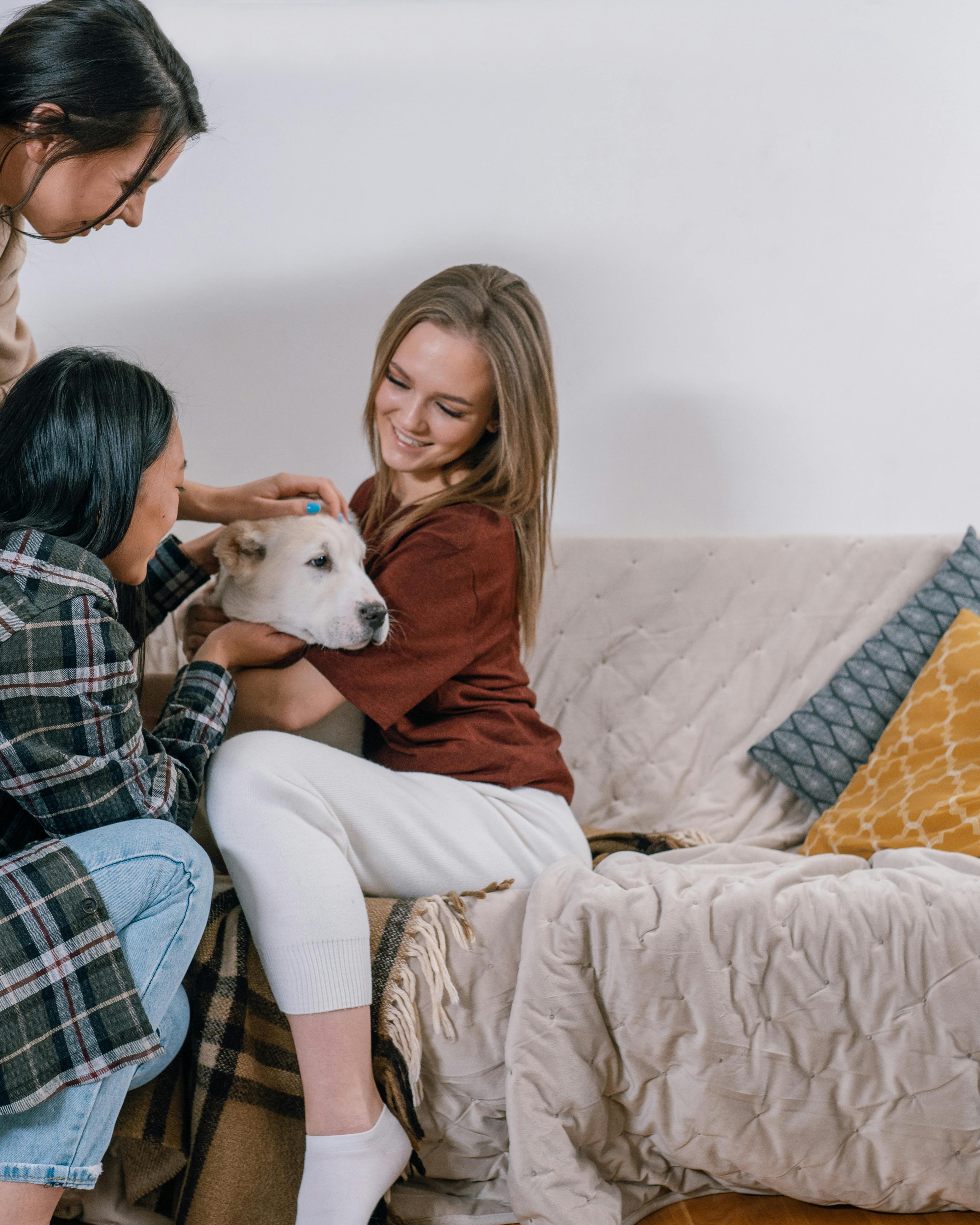 Three Women Petting a Dog on Sofa