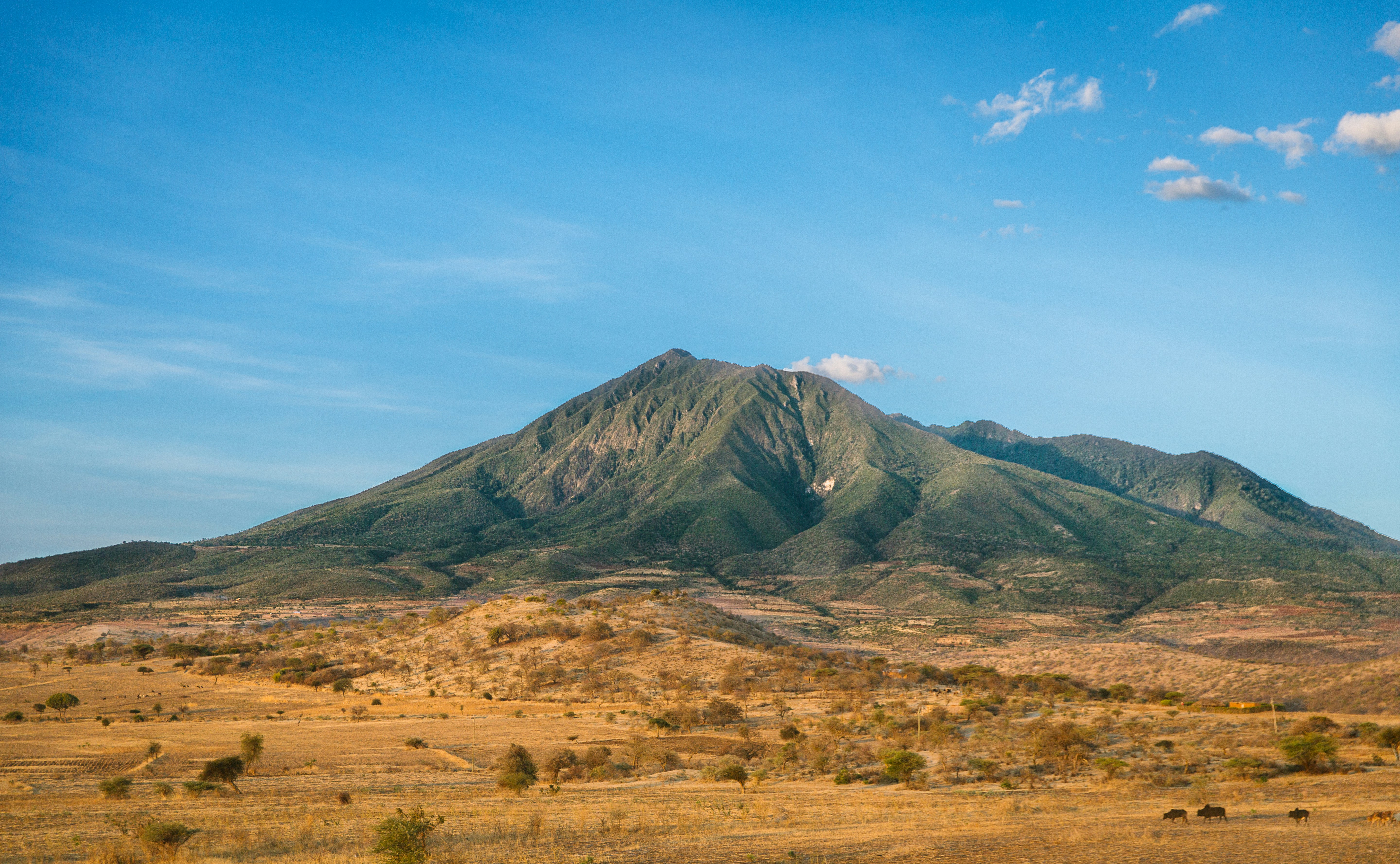 Dry Savanna Mountain Landscape