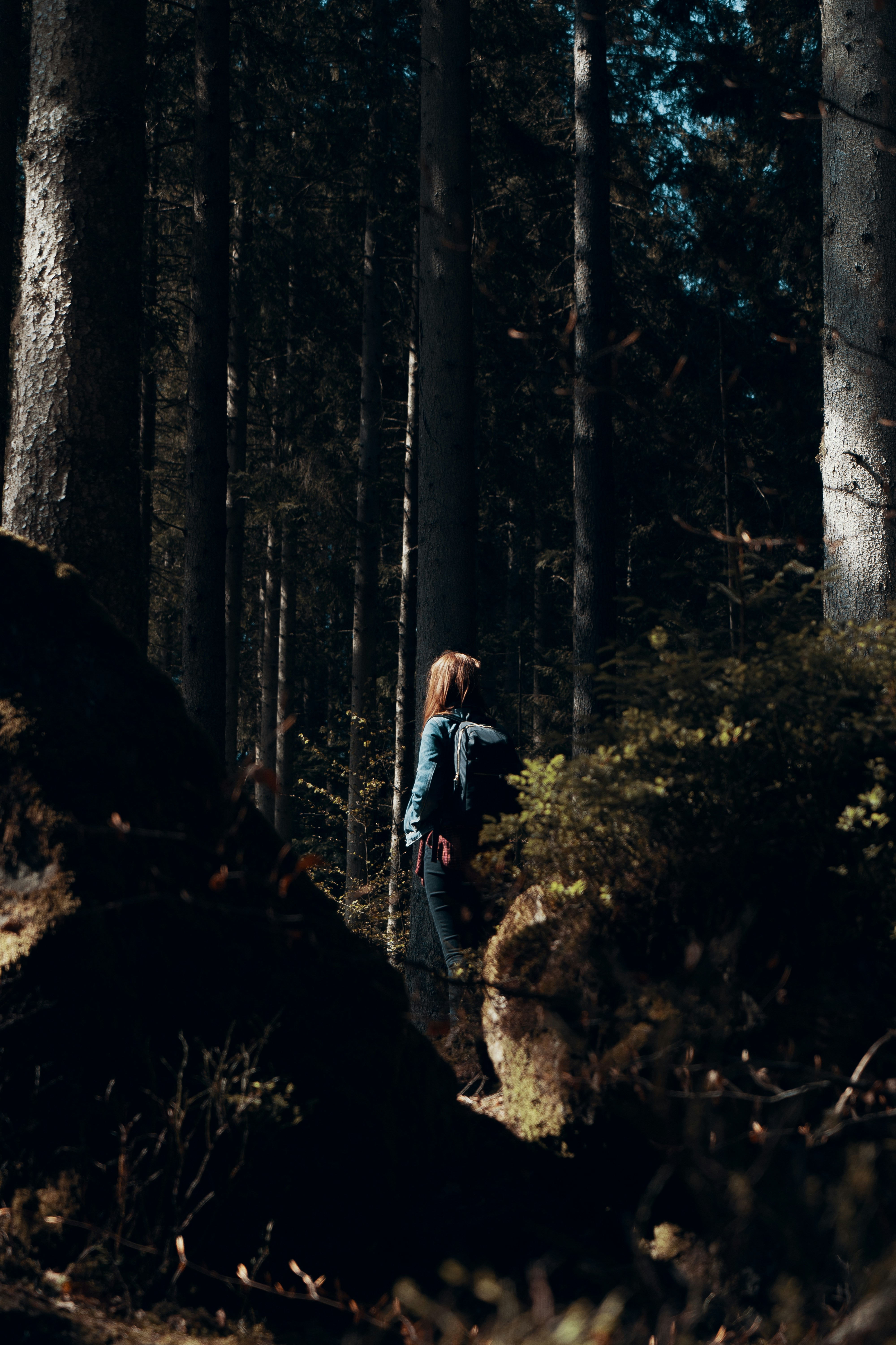 Hiker Walking in Dense Forest