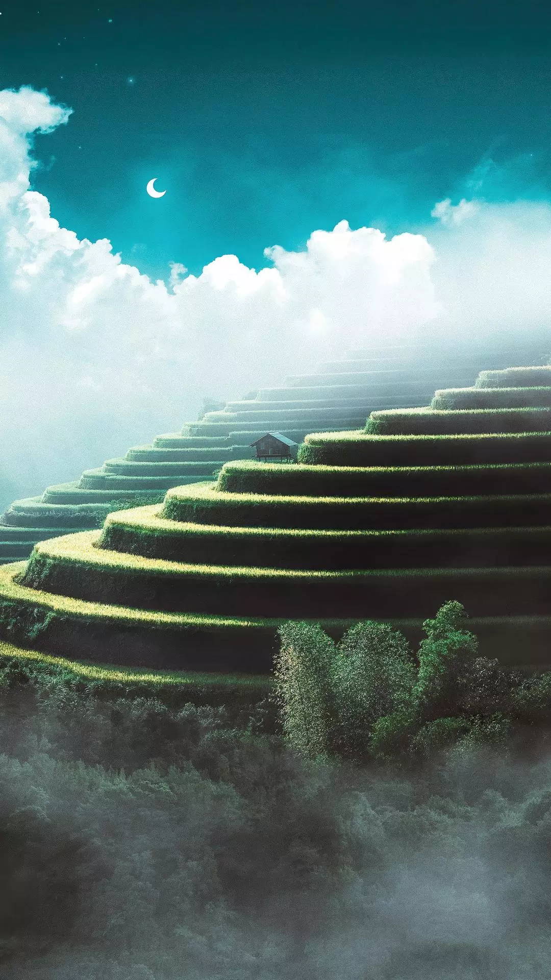 Landscapes