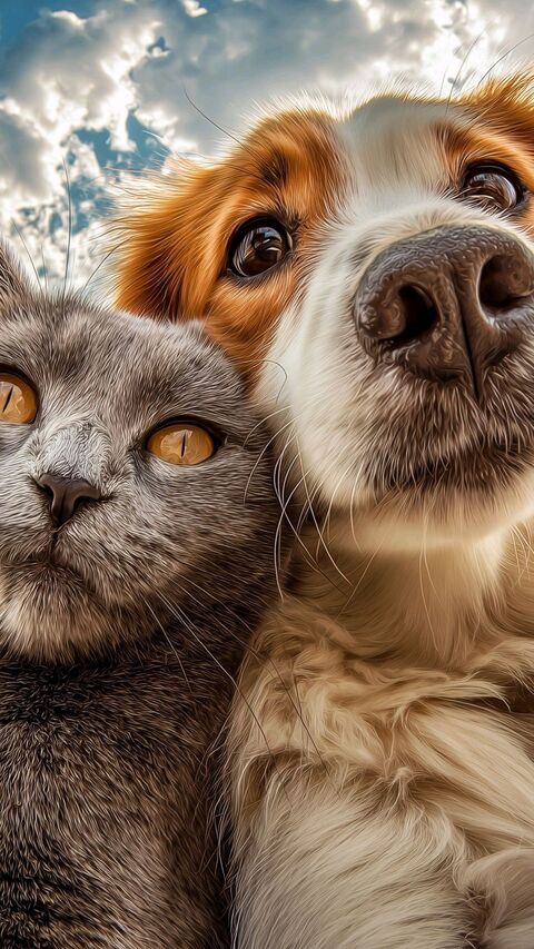 Image 93191 — Pets