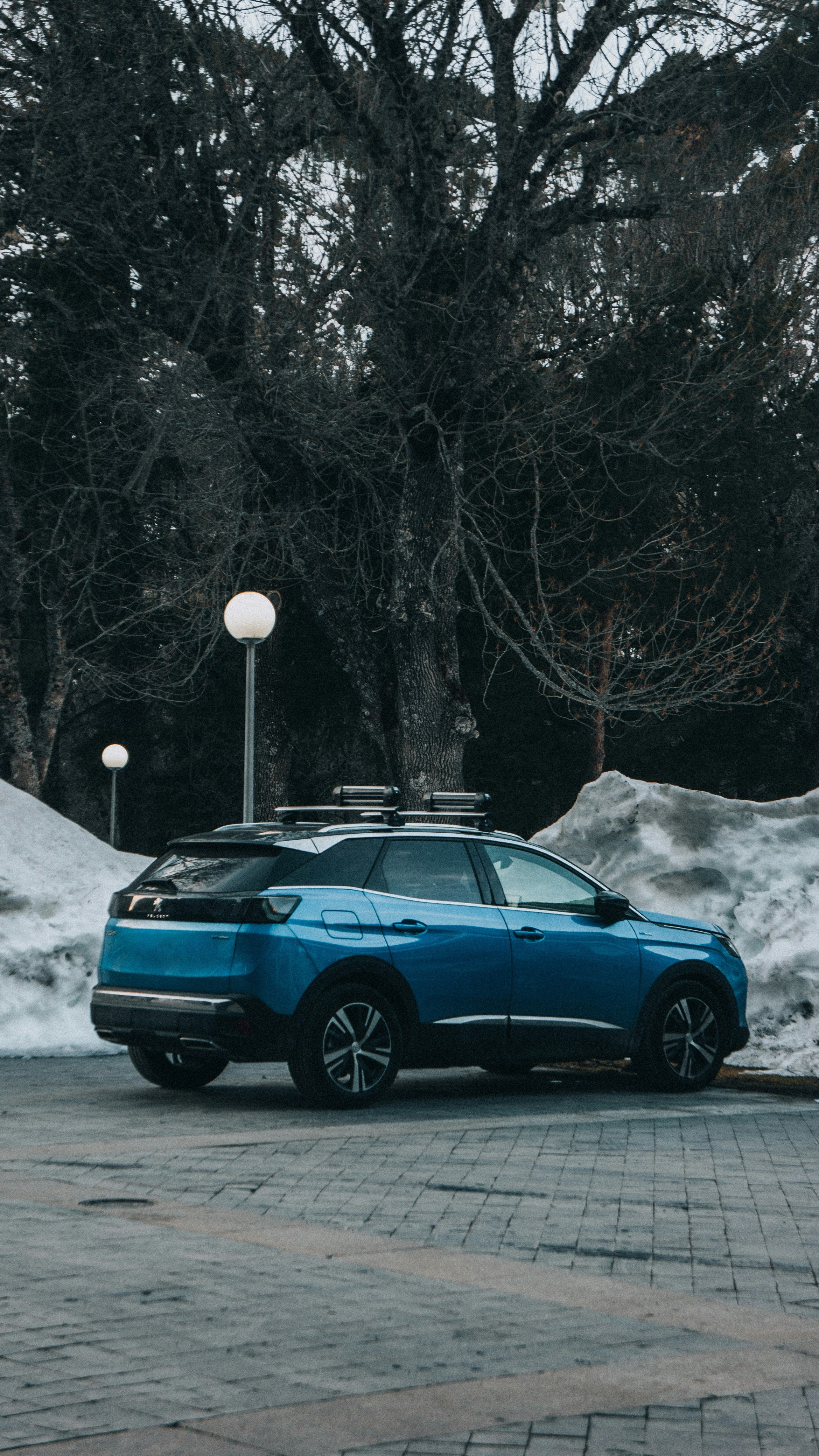 Blue SUV Parked Beside Snowbanks