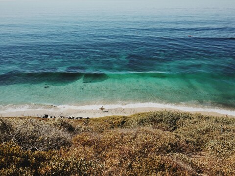 Clear Coastal Beach with Surfer