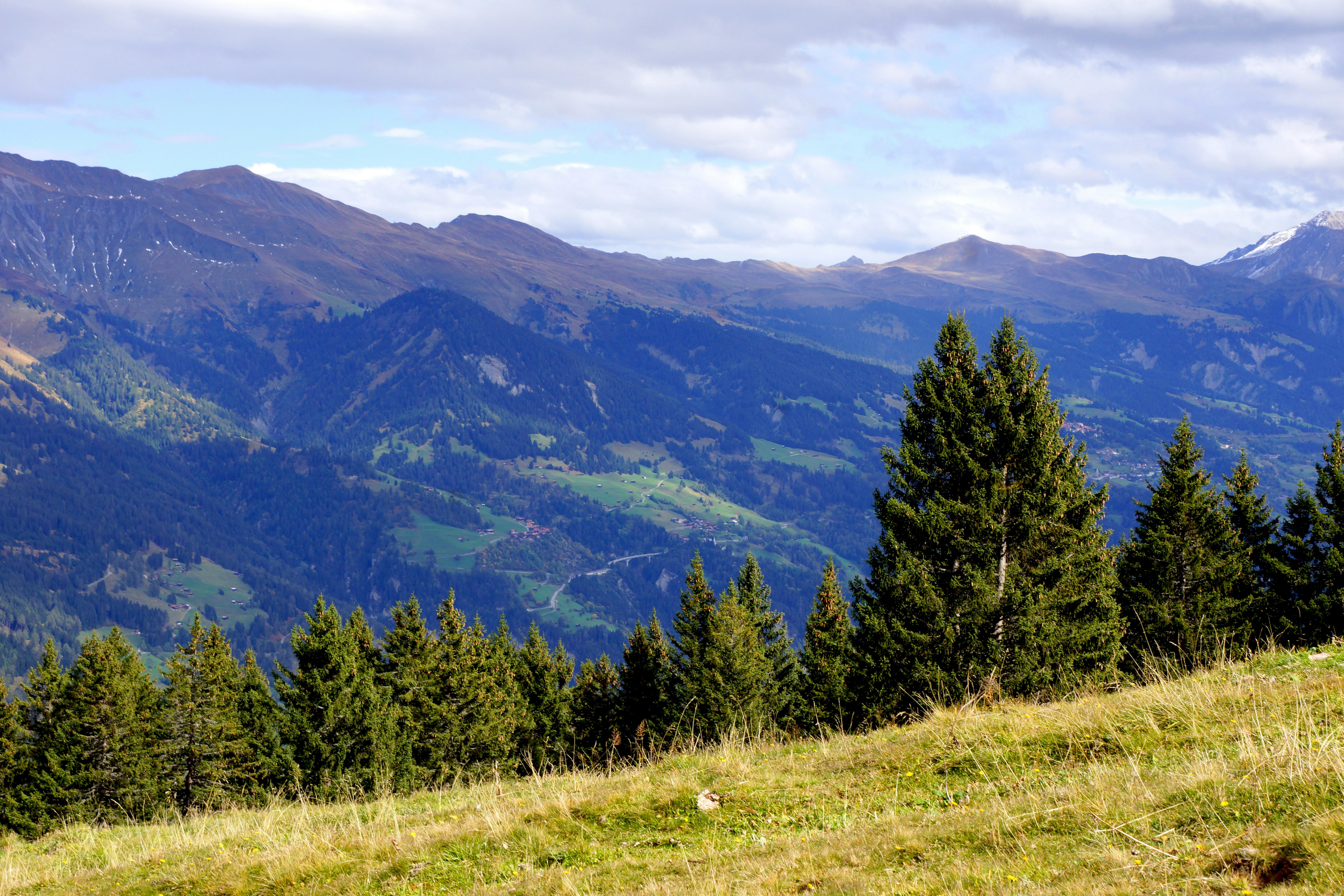 Alpine Mountain Valley Landscape