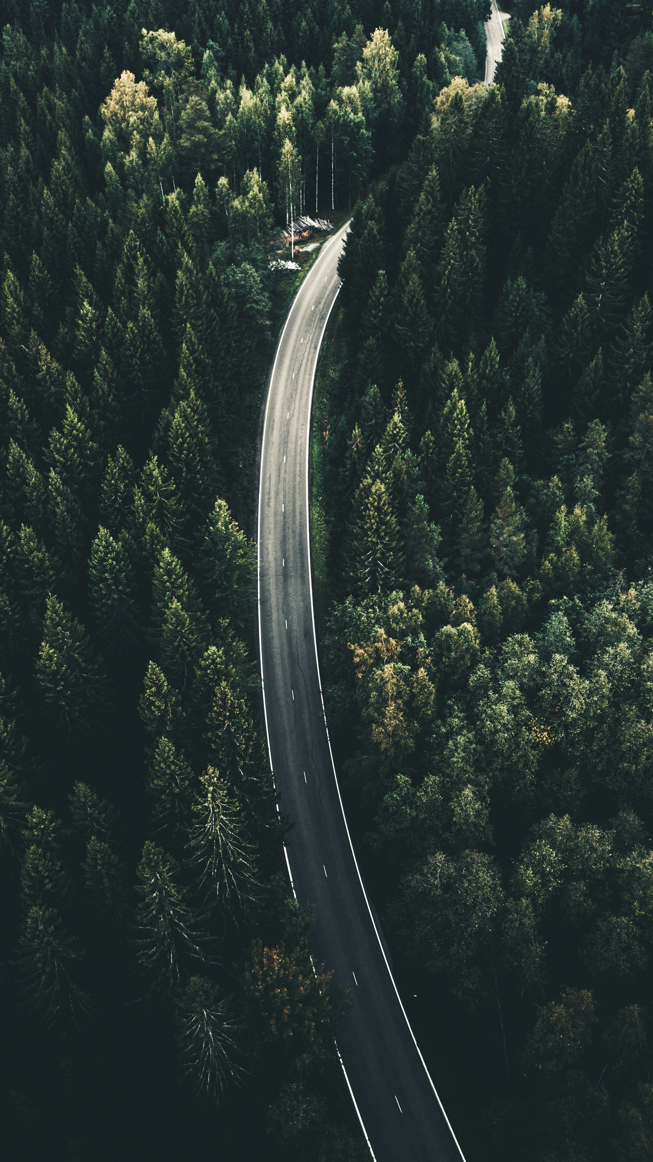 Wallpapers