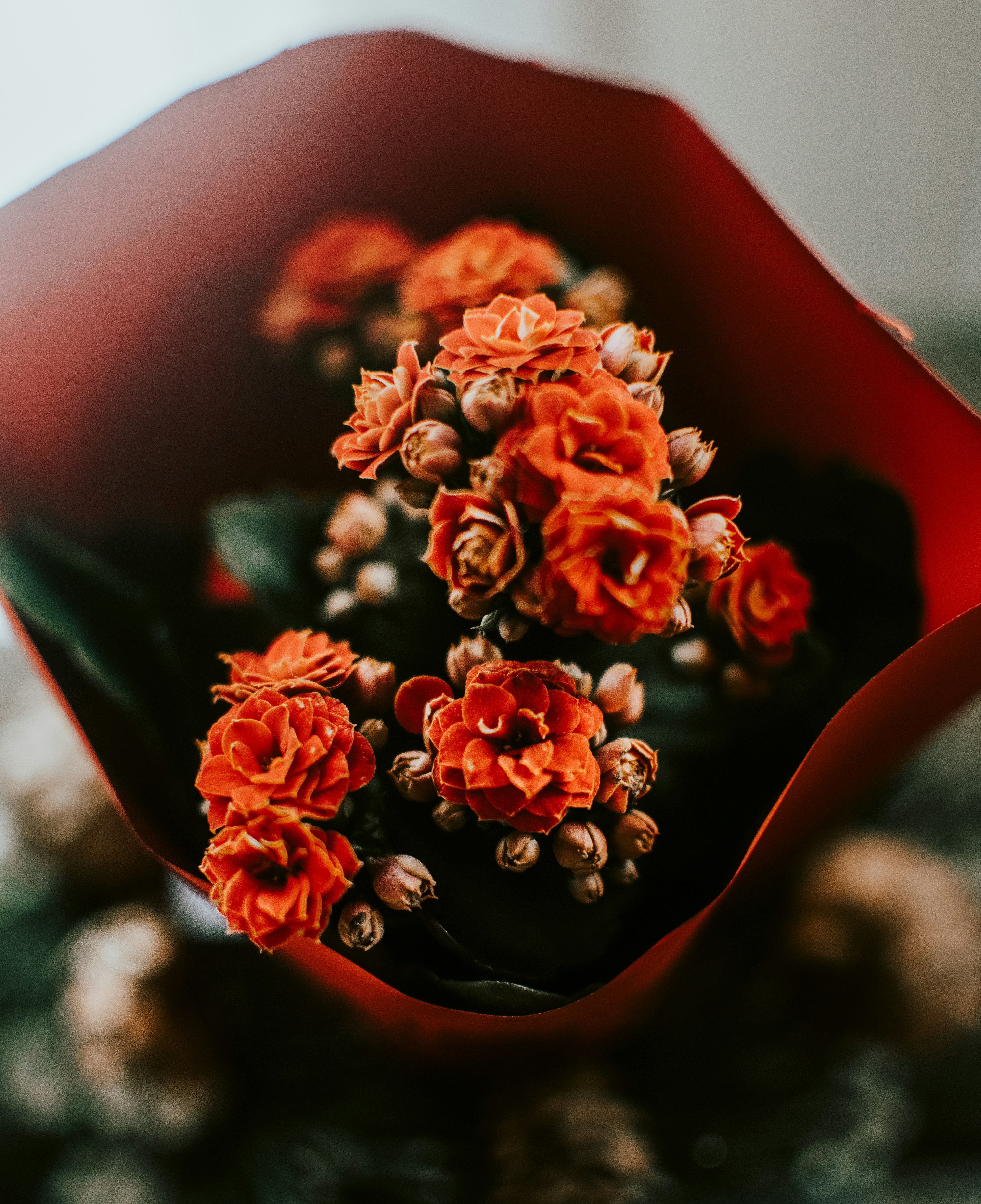 Orange Kalanchoe Flower Bouquet