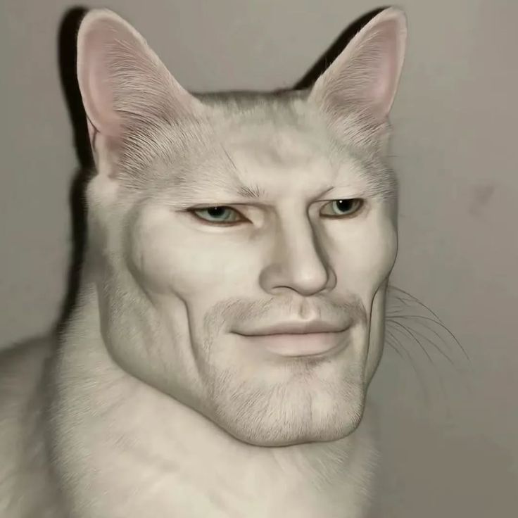 Surreal Human-Cat Hybrid Portrait