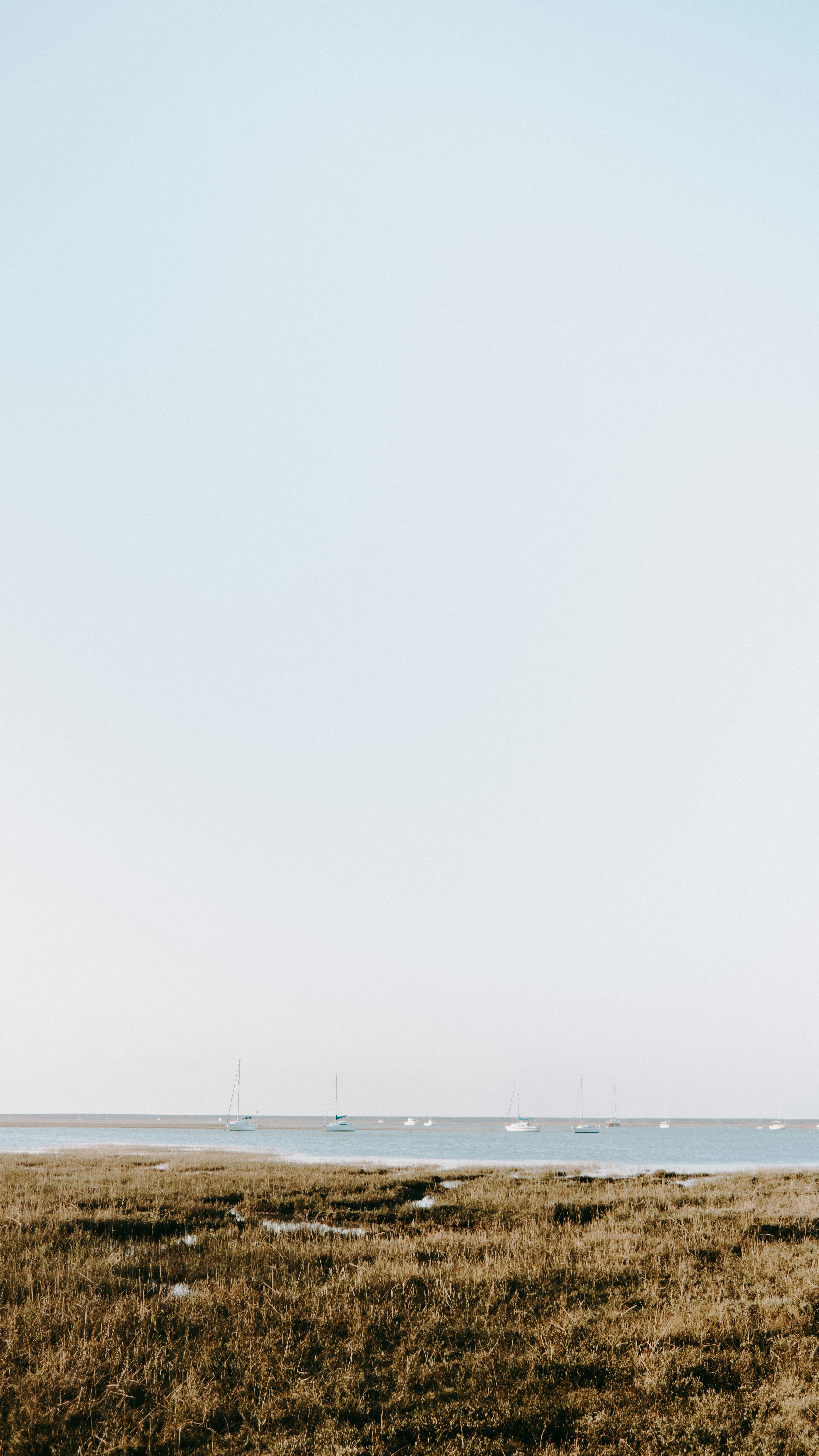 Coastal Marsh with Anchored Sailboats