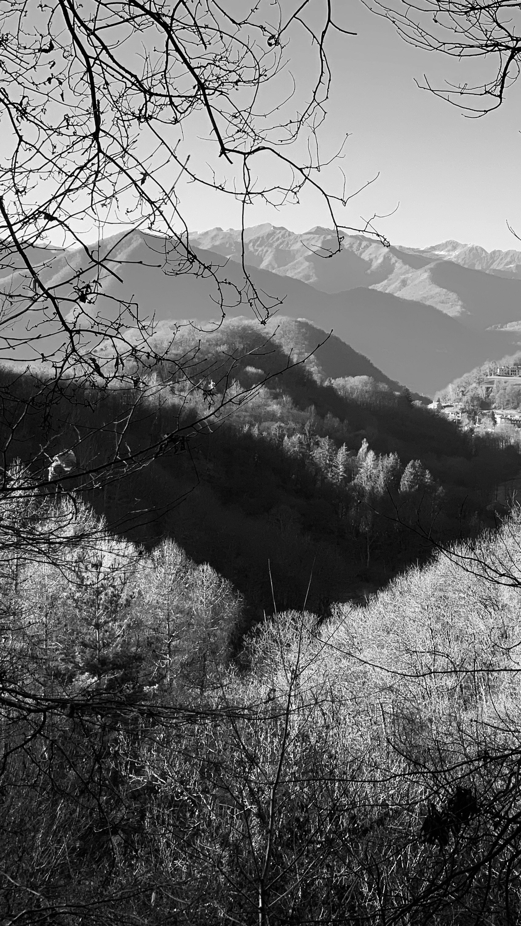 Black and White Mountain Landscape