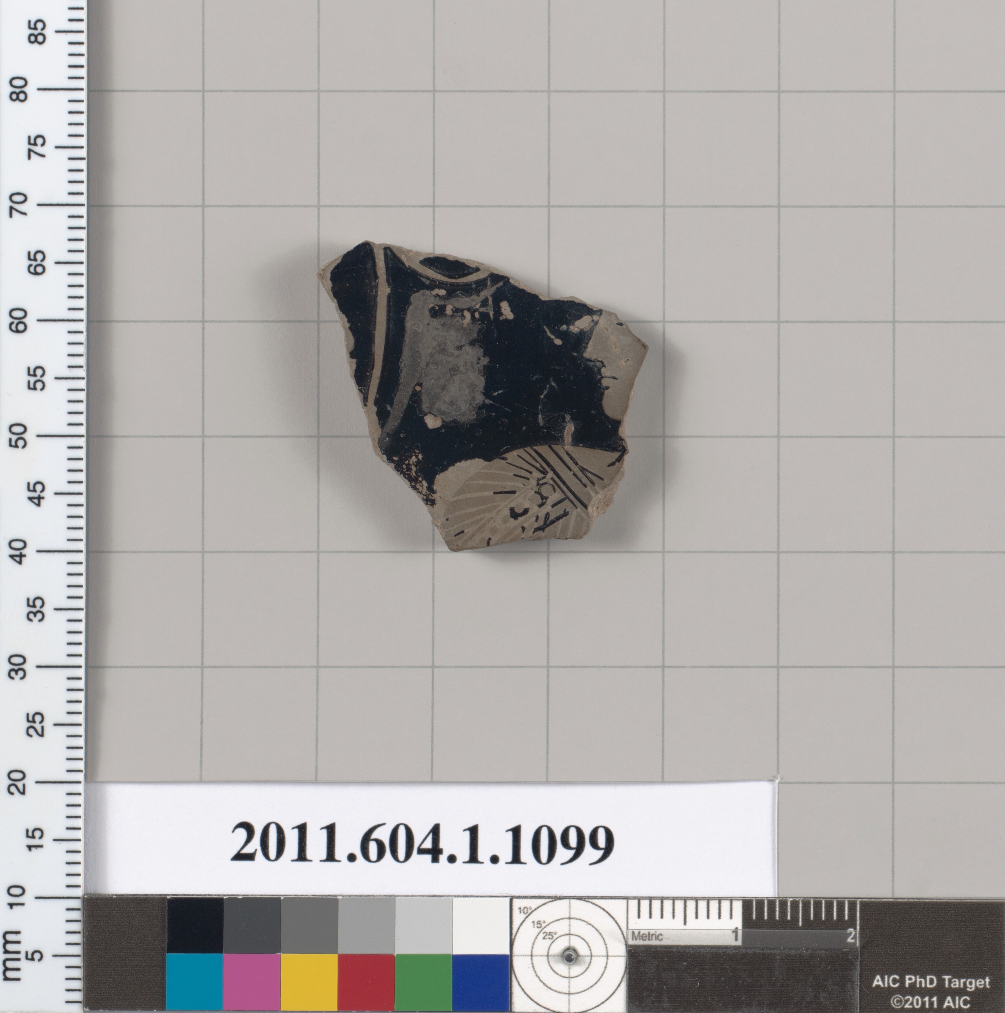 Cataloged Ancient Pottery Fragment