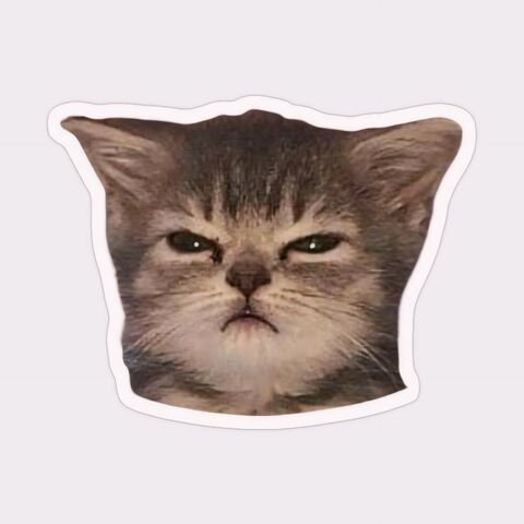 Grumpy Tabby Cat Sticker