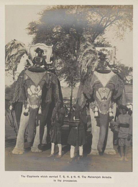 Decorated Elephants in Vintage Procession