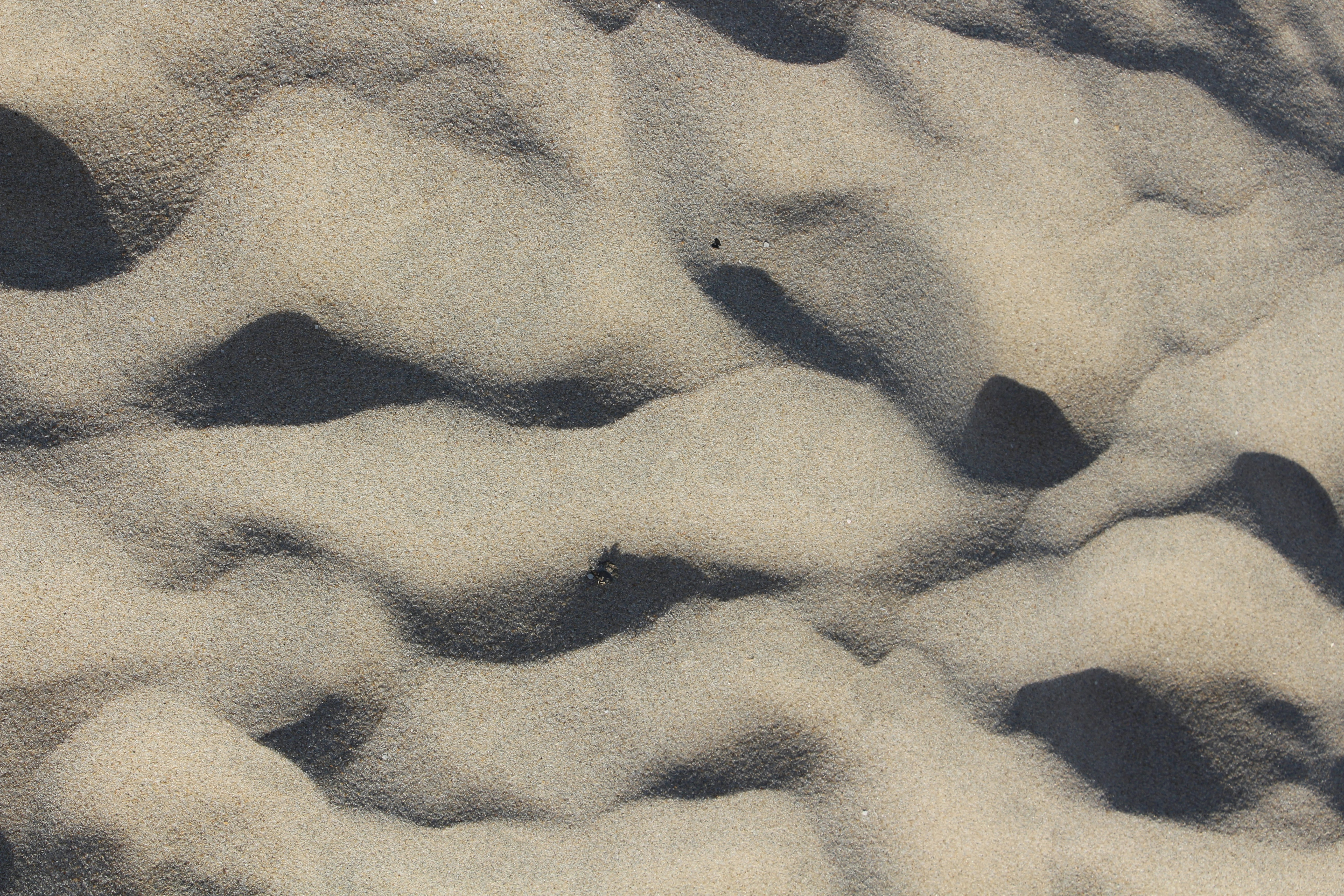Rippled Fine Sand Surface