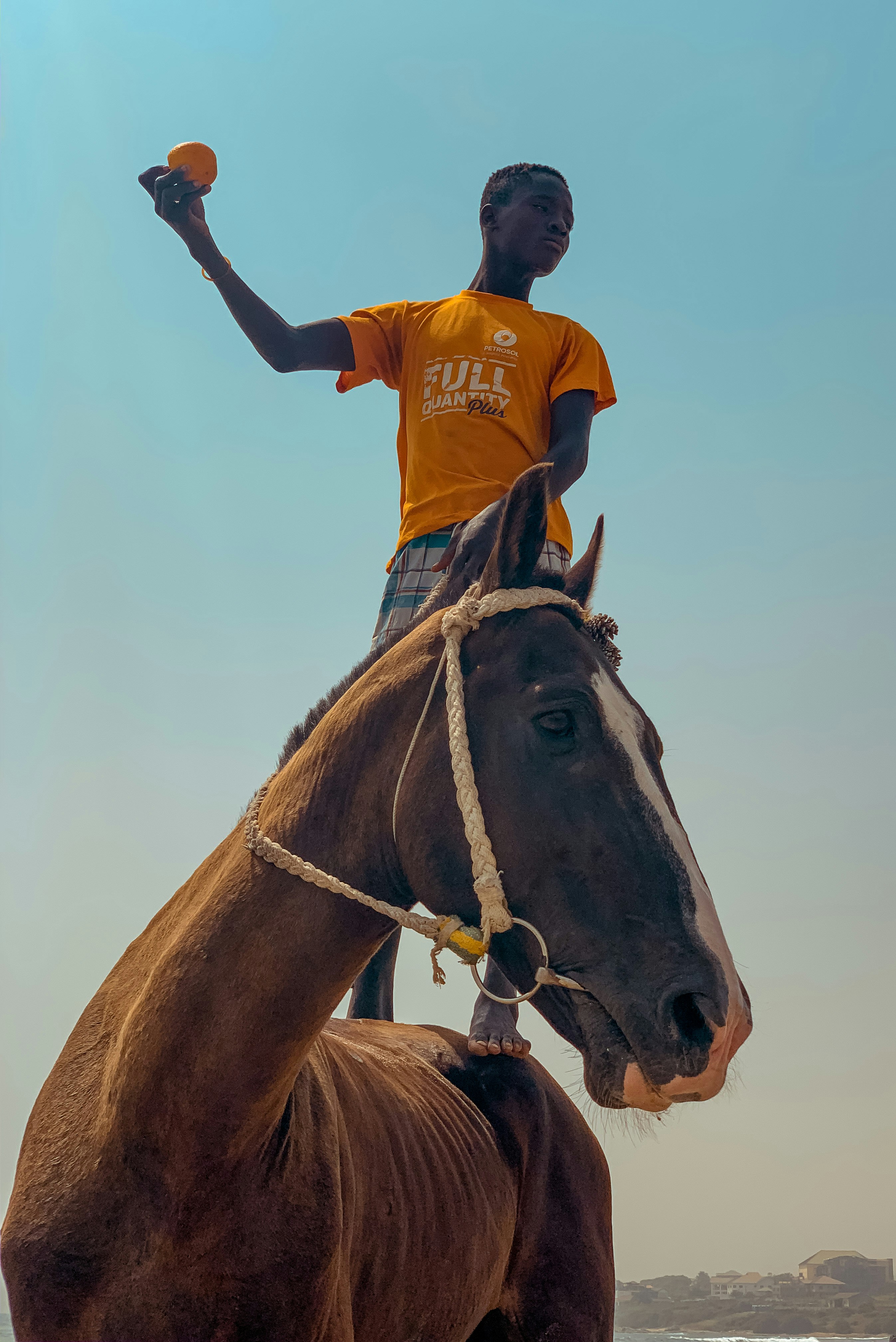 Young Man Standing On Horse At Beach