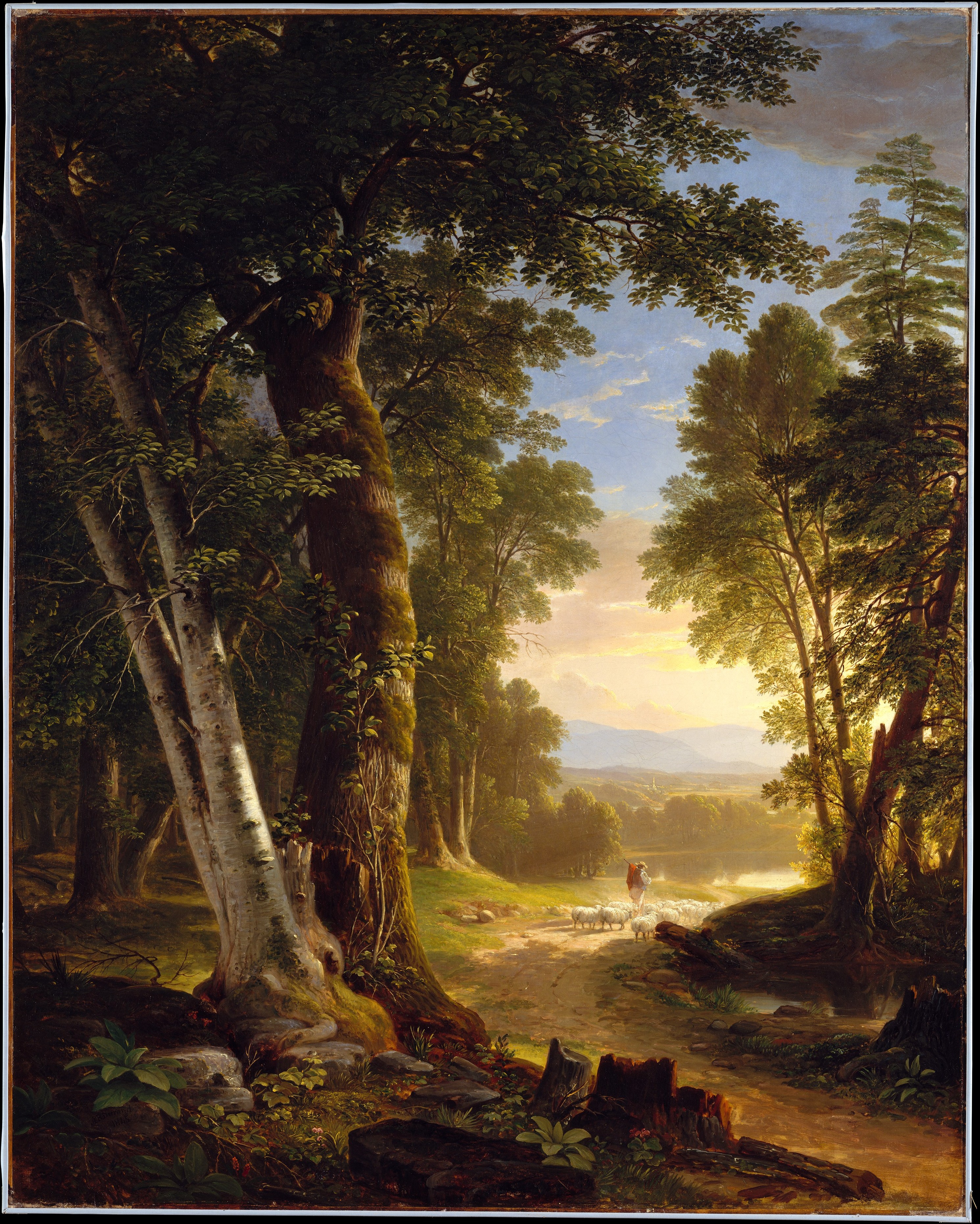 Sunlit Forest Path with Shepherd