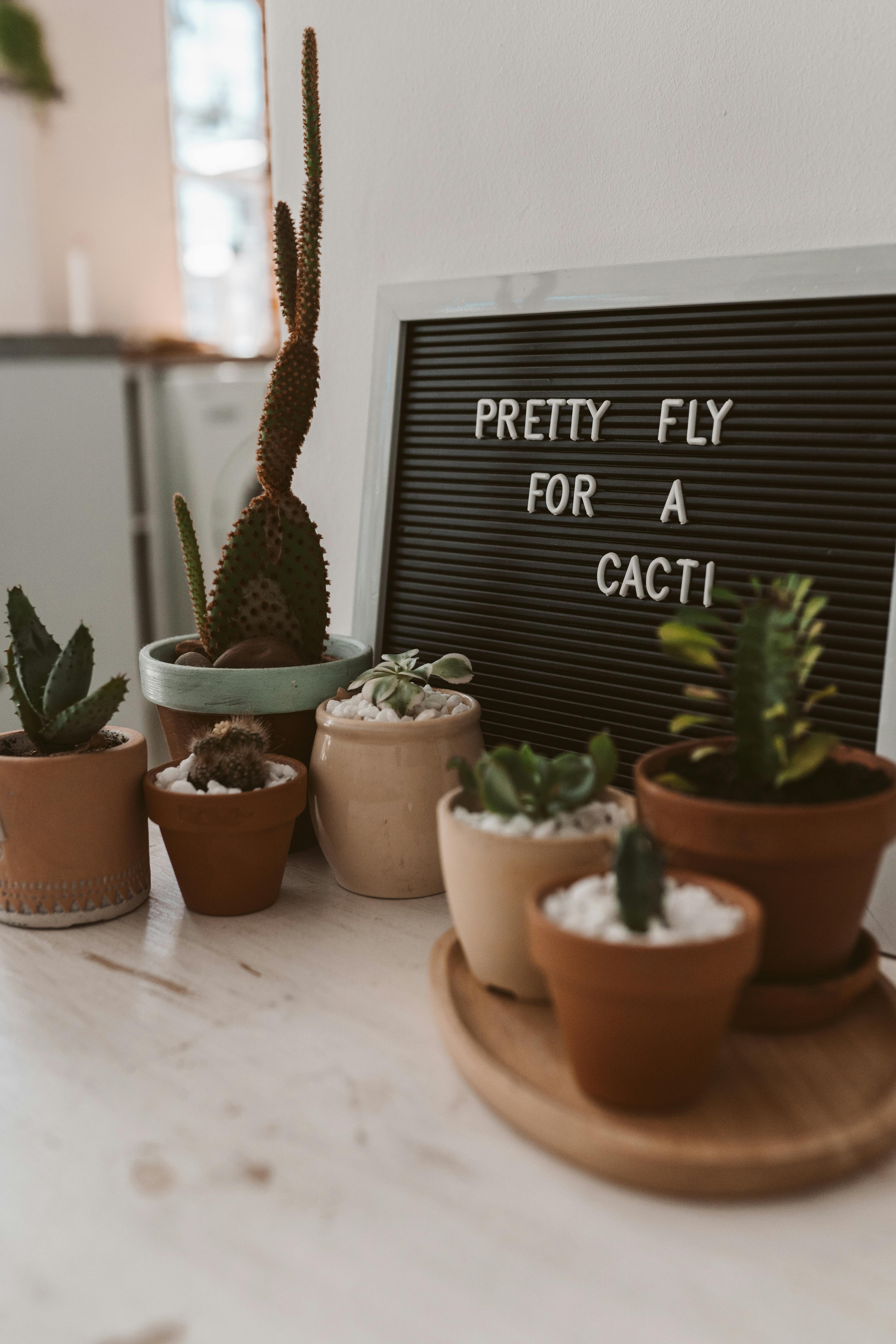 Home Decoration