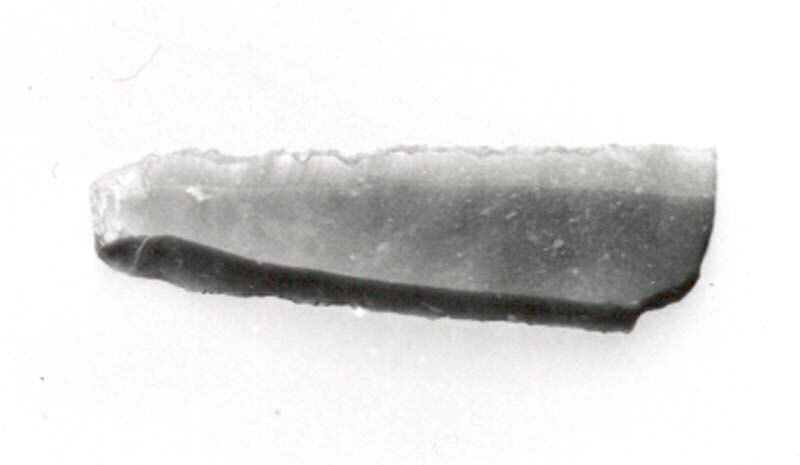 Ancient Stone Tool Fragment