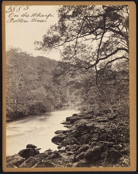 River Wharfe at Bolton Woods