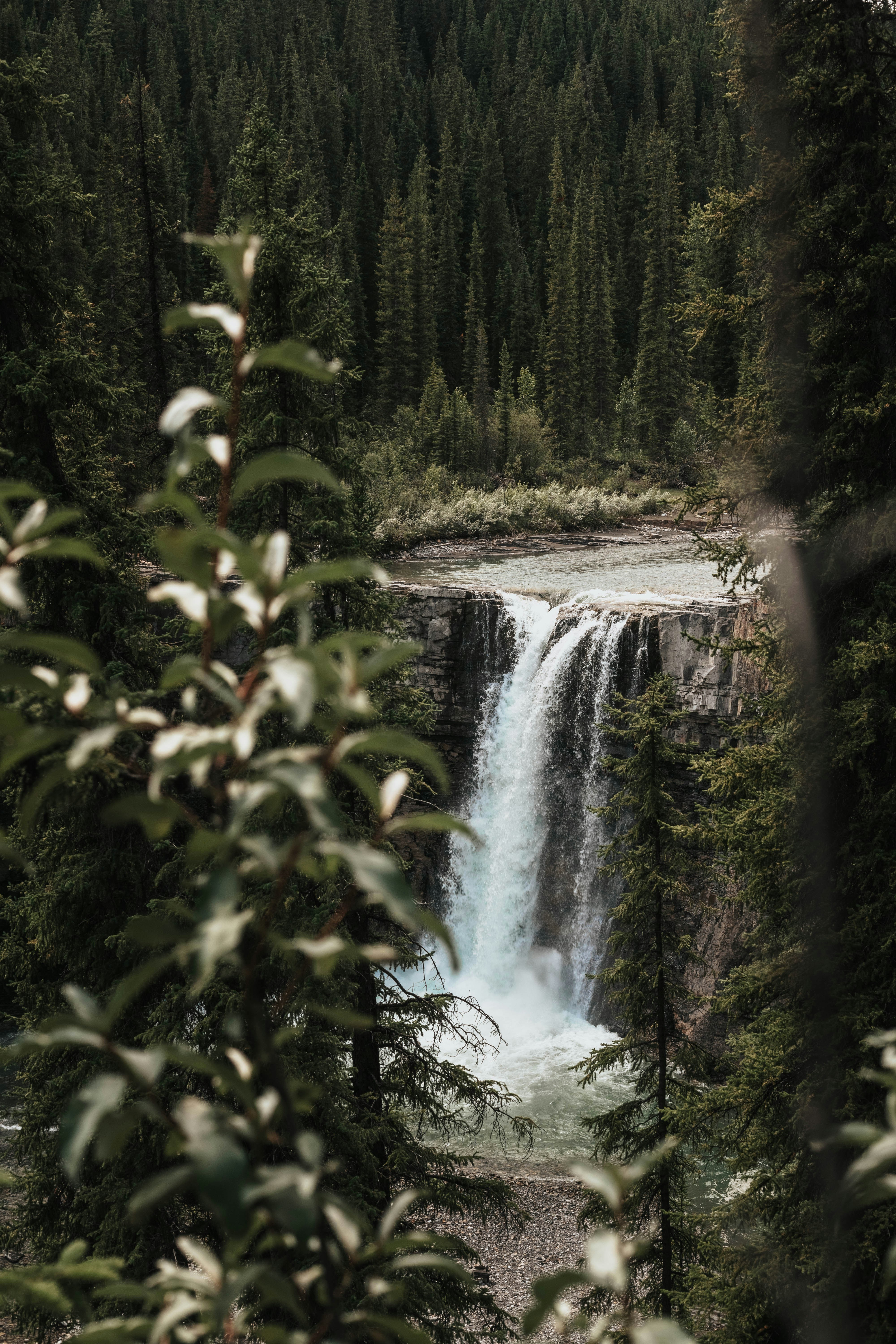 Hidden Waterfall in Dense Forest
