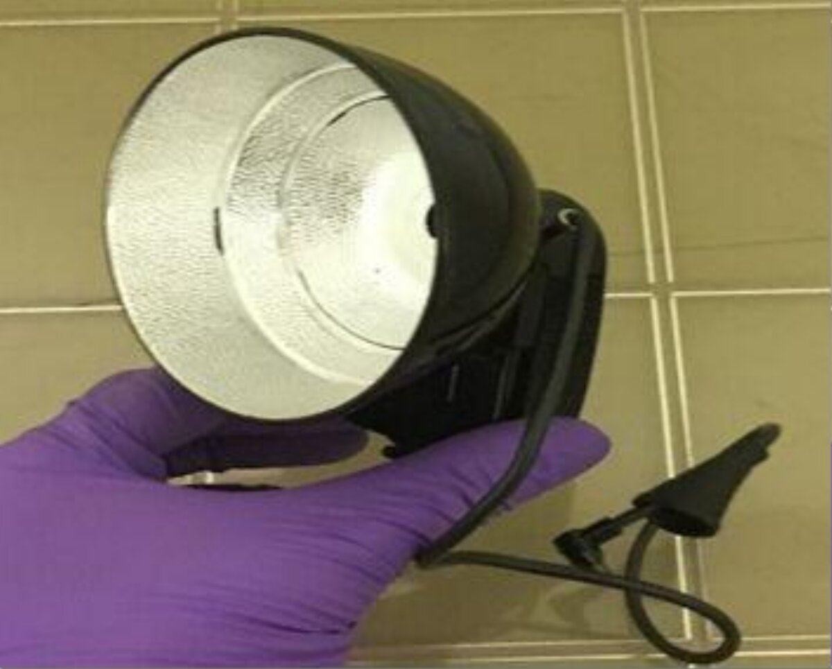 Purple Gloved Hand Holding Photography Lamp