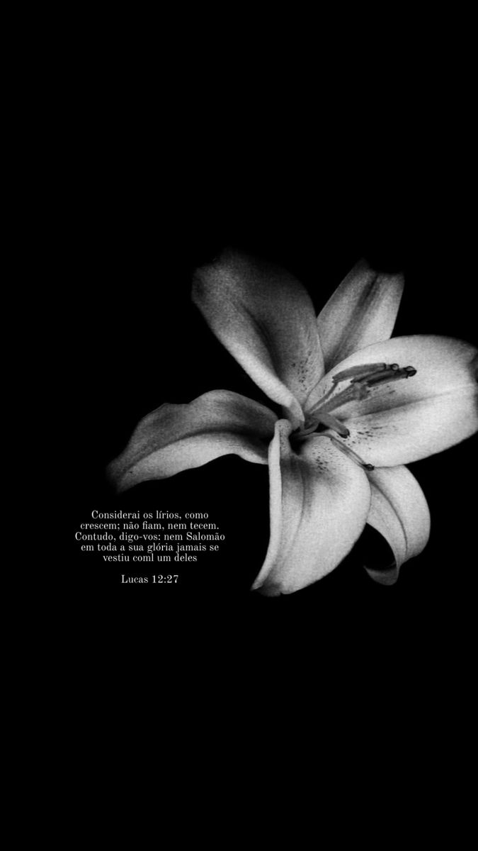 Image 1590977 — Quotes