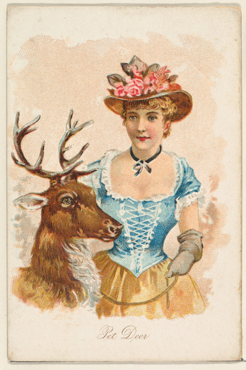 Vintage Pet Deer Illustration