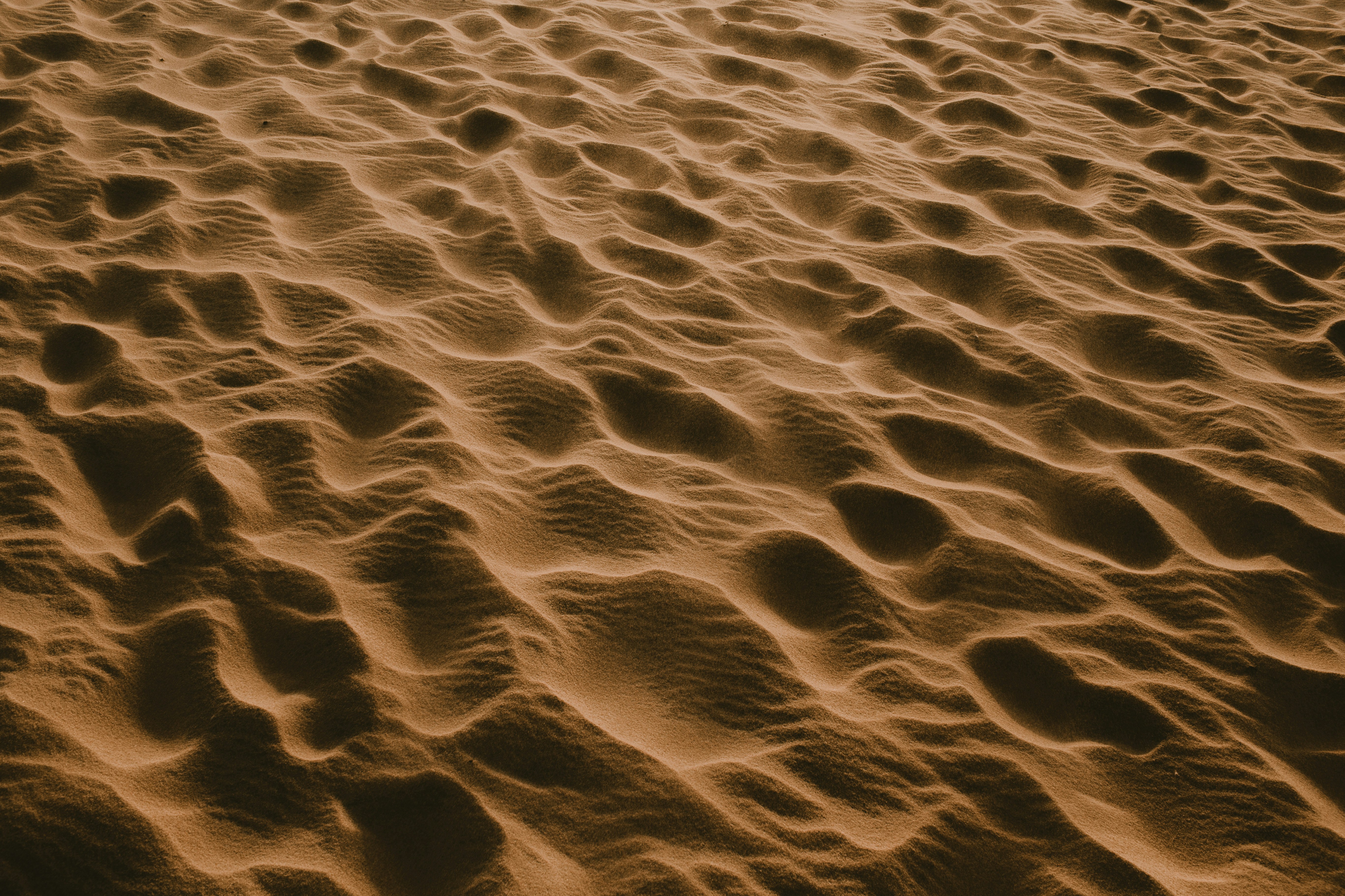 Wind Rippled Desert Sand Surface