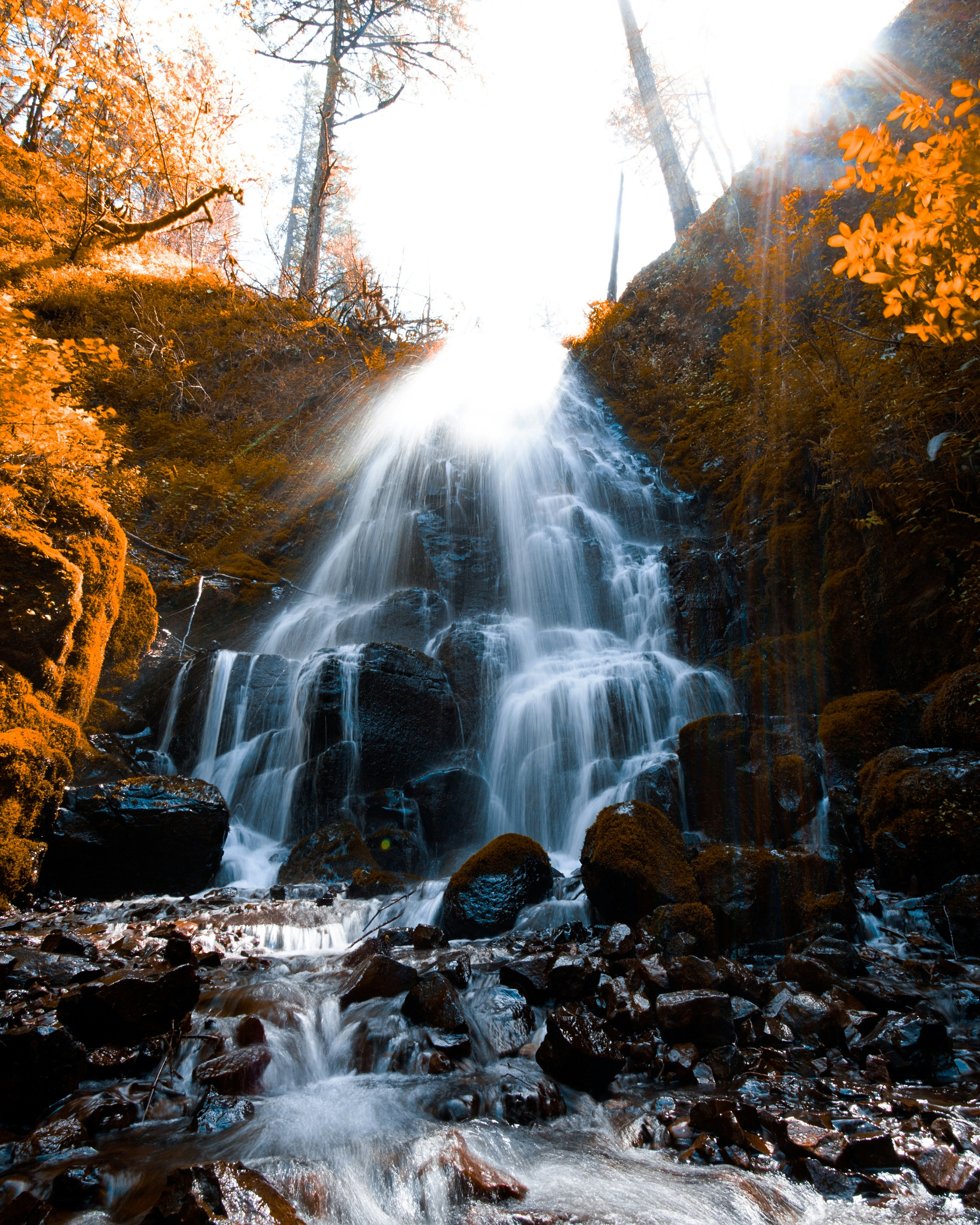 Sunlit Autumn Forest Waterfall
