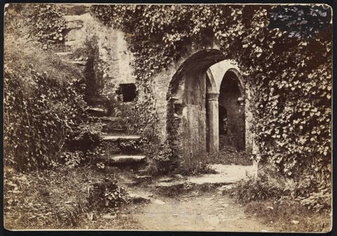 Overgrown Stone Ruin Archway