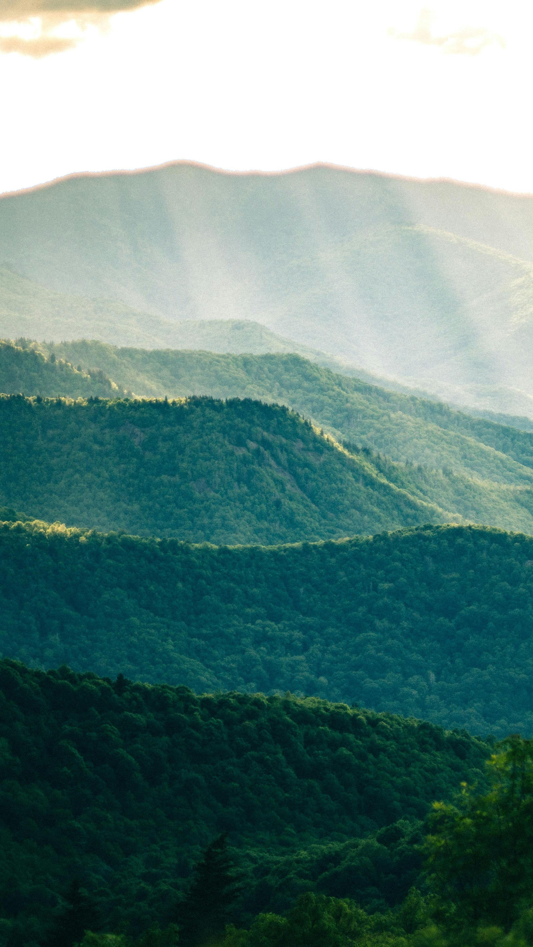 Landscapes